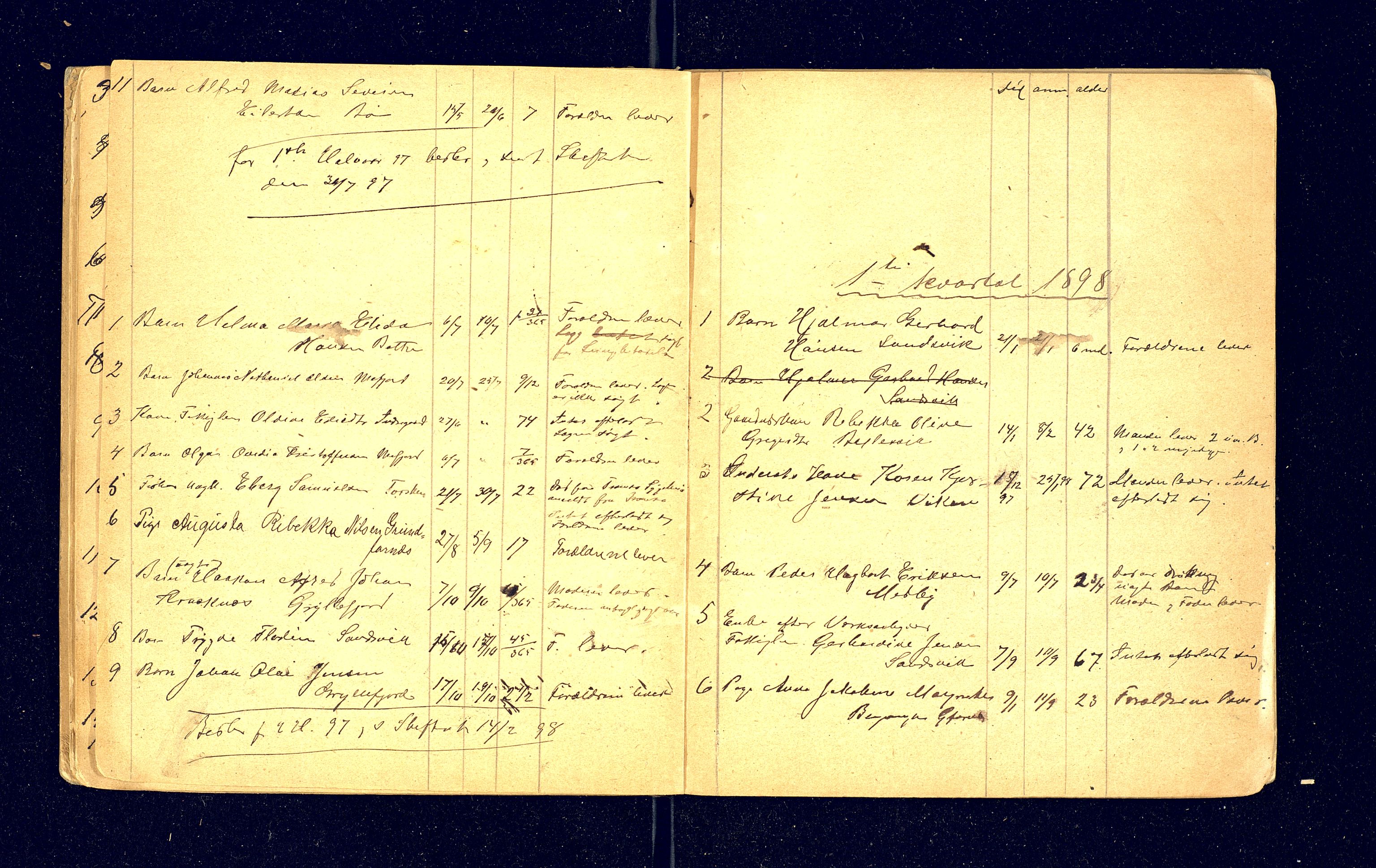 Berg og Torsken lensmannskontor, AV/SATØ-S-1274/F/Fj/Fja/L0151: Dødsfallsprotokoll, 1894-1901