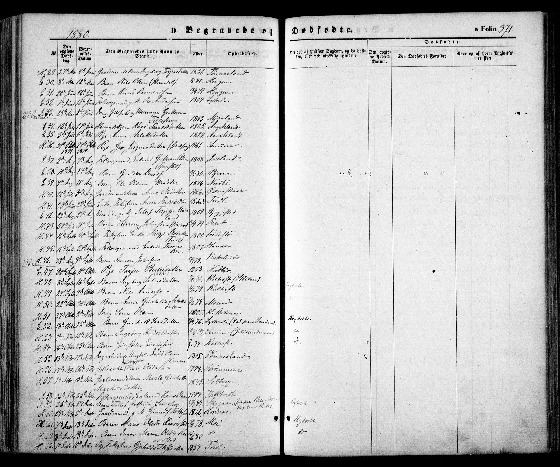 Evje sokneprestkontor, SAK/1111-0008/F/Fa/Faa/L0006: Parish register (official) no. A 6, 1866-1884, p. 371
