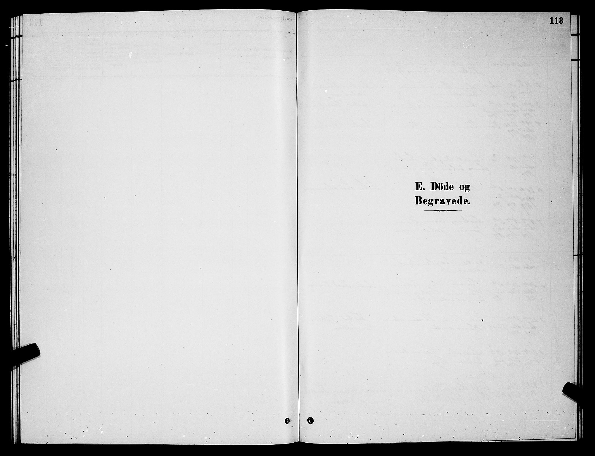 Vardø sokneprestkontor, SATØ/S-1332/H/Hb/L0006klokker: Parish register (copy) no. 6, 1879-1887, p. 113