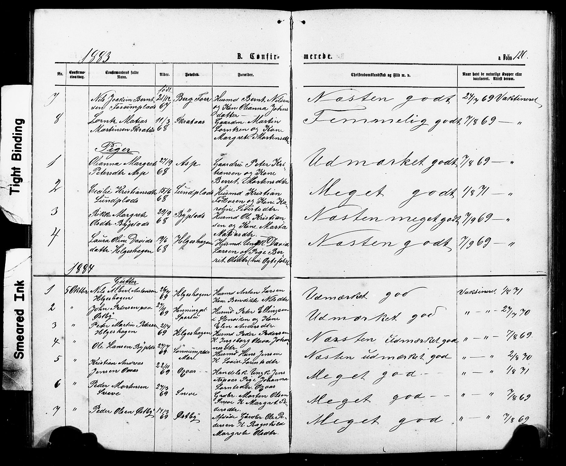 Ministerialprotokoller, klokkerbøker og fødselsregistre - Nord-Trøndelag, AV/SAT-A-1458/740/L0380: Parish register (copy) no. 740C01, 1868-1902, p. 120