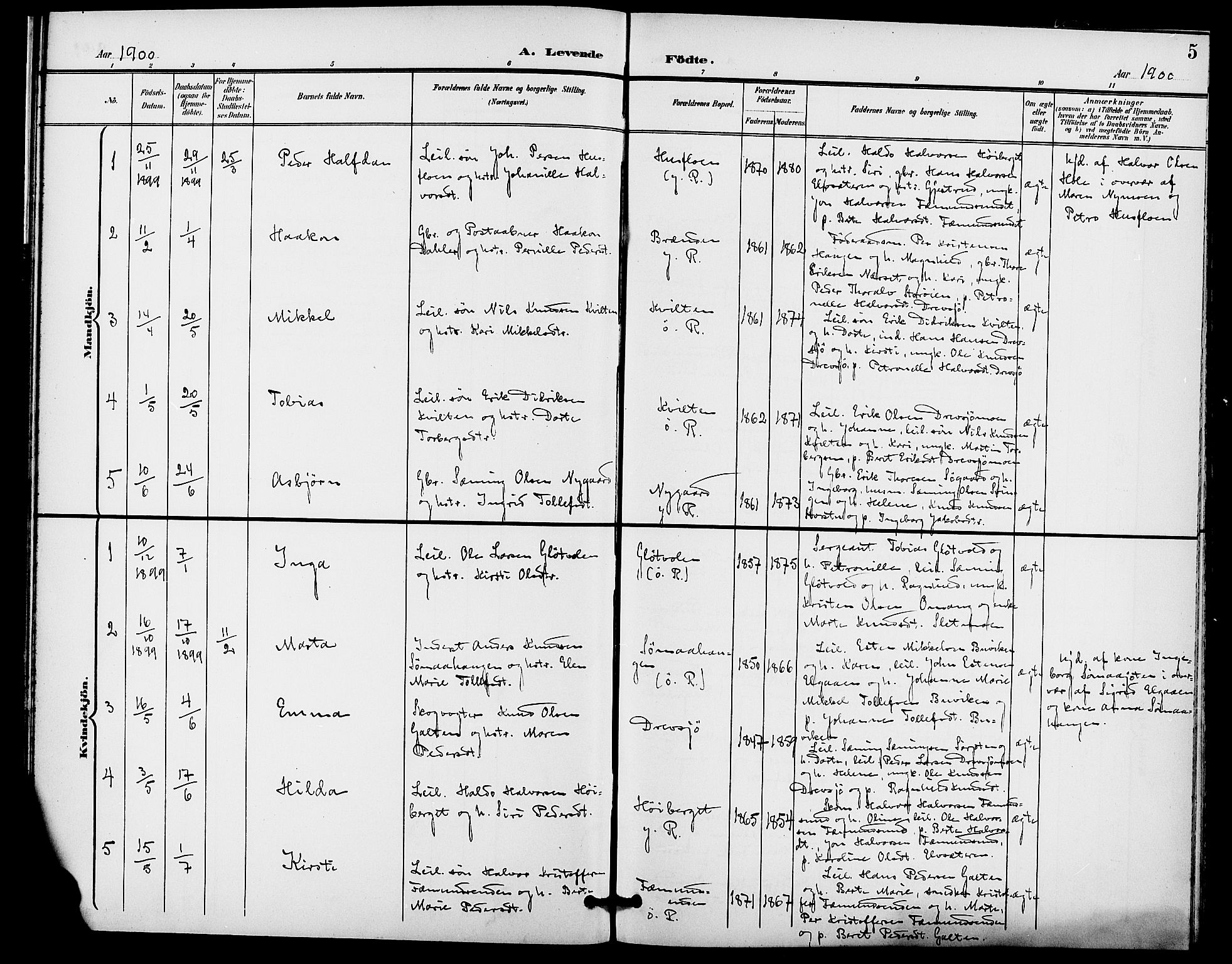 Rendalen prestekontor, SAH/PREST-054/H/Ha/Haa/L0008: Parish register (official) no. 8, 1898-1910, p. 5
