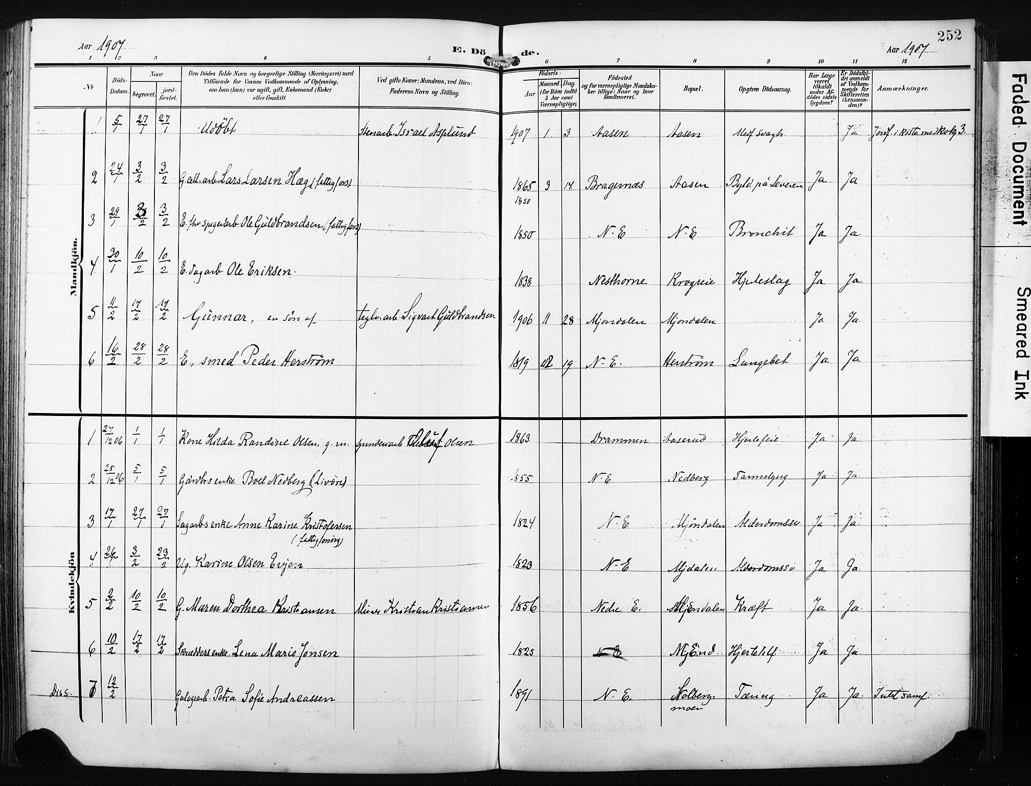 Nedre Eiker kirkebøker, SAKO/A-612/F/Fa/L0006: Parish register (official) no. 6, 1906-1912, p. 252