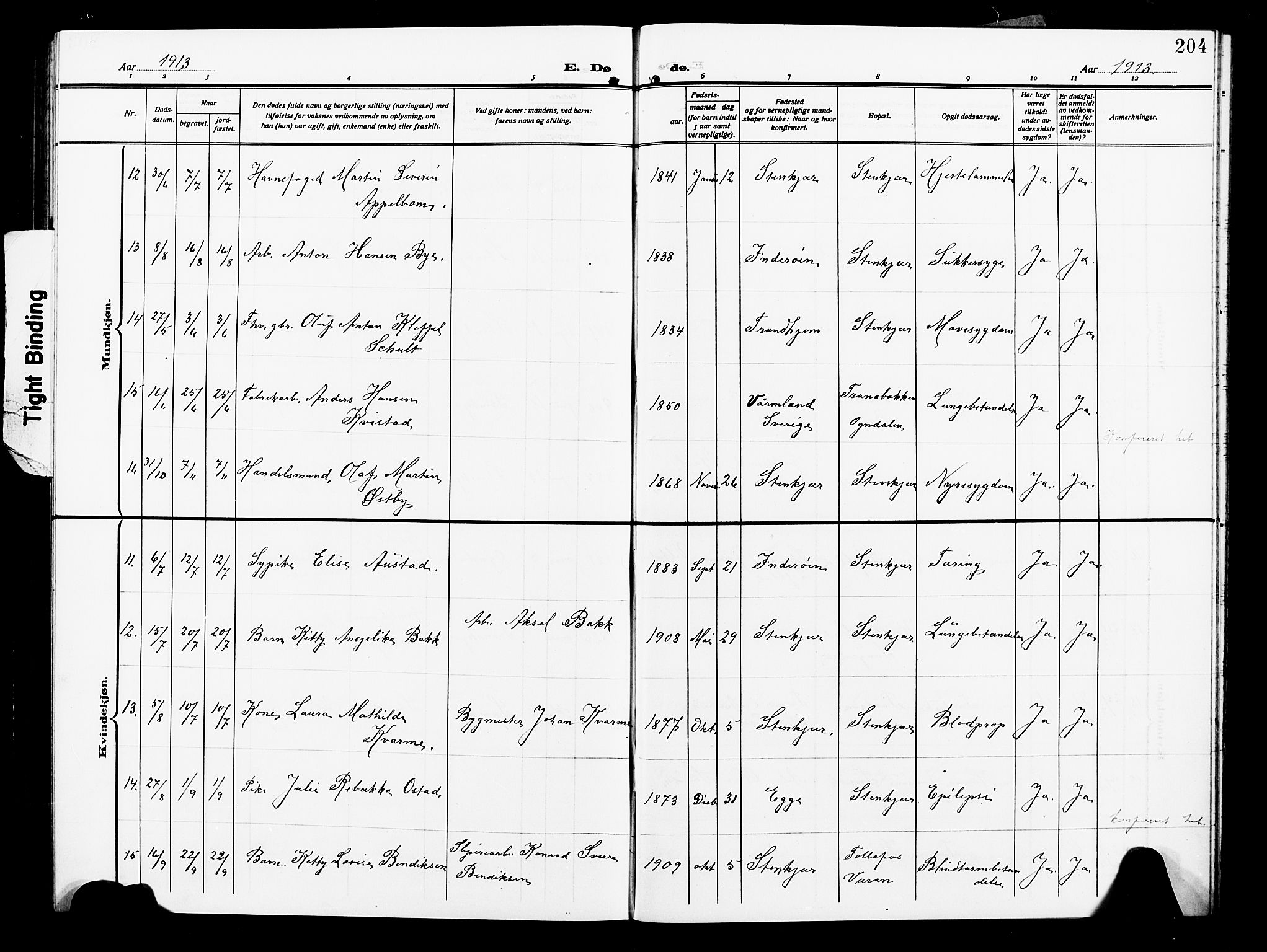 Ministerialprotokoller, klokkerbøker og fødselsregistre - Nord-Trøndelag, AV/SAT-A-1458/739/L0376: Parish register (copy) no. 739C04, 1908-1917, p. 204