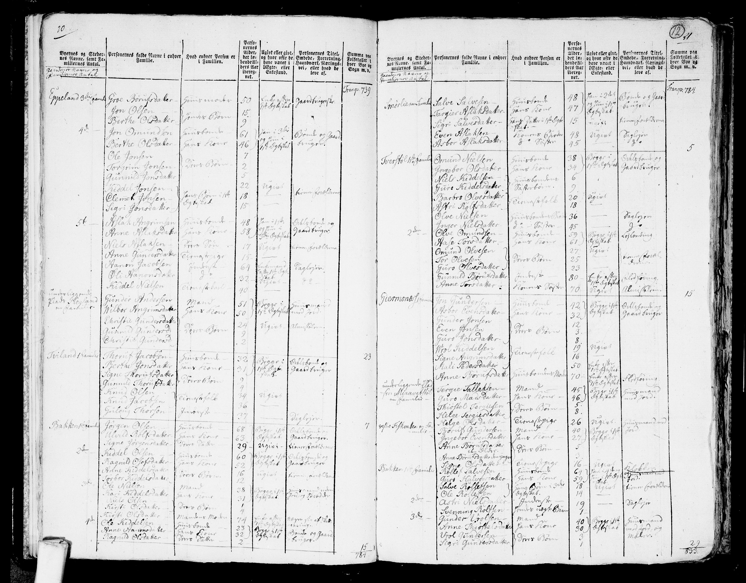 RA, 1801 census for 0929P Åmli, 1801, p. 11b-12a