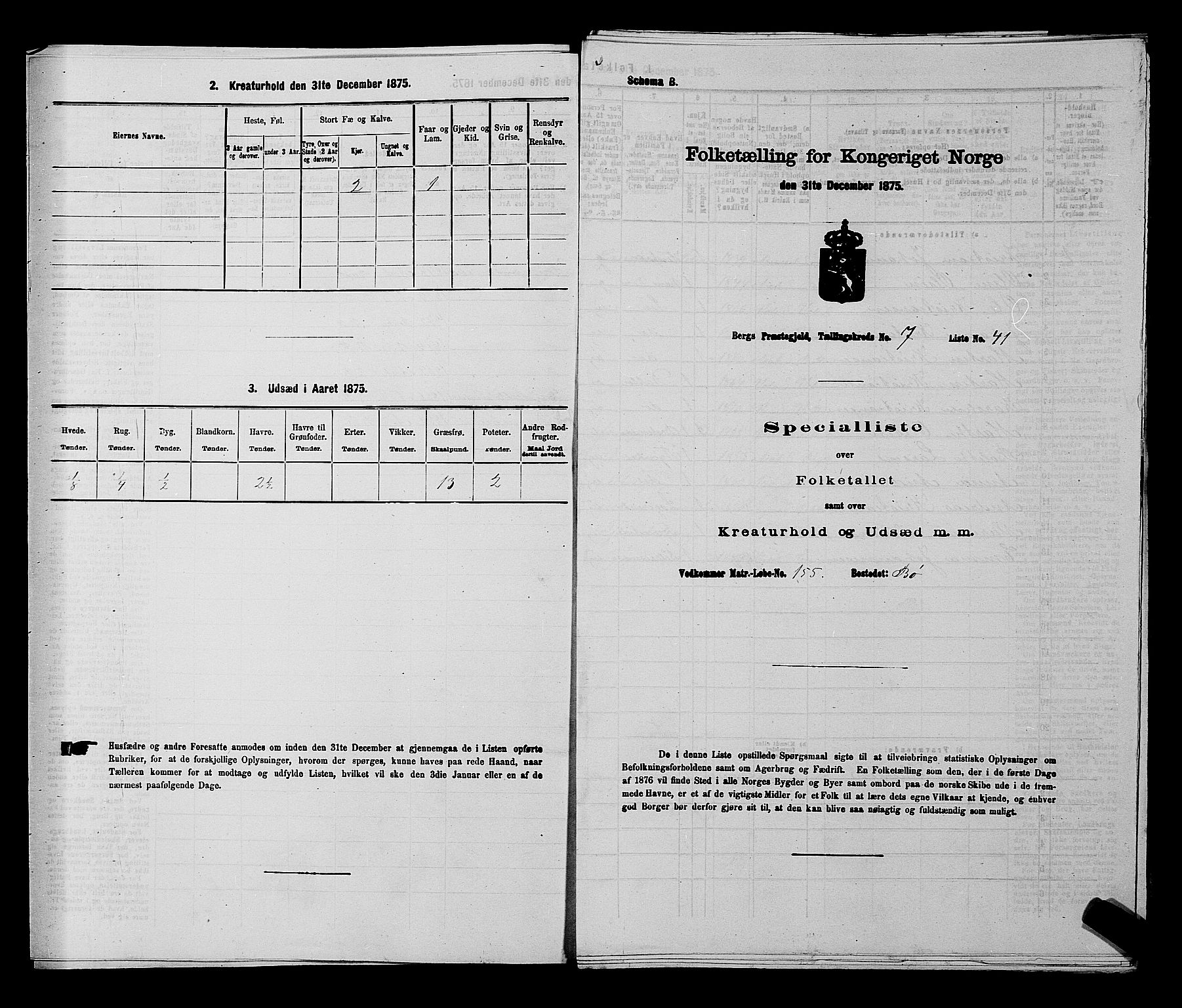 RA, 1875 census for 0116P Berg, 1875, p. 1080