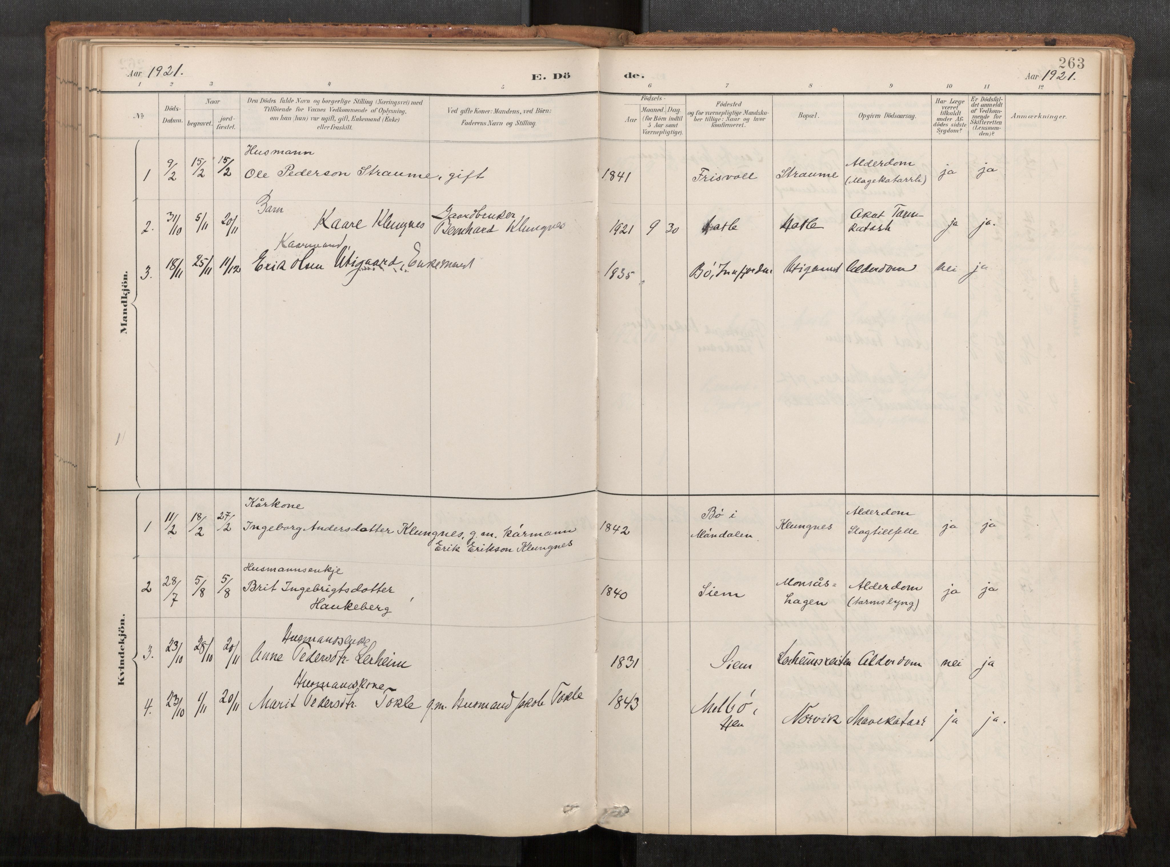 Ministerialprotokoller, klokkerbøker og fødselsregistre - Møre og Romsdal, AV/SAT-A-1454/542/L0553: Parish register (official) no. 542A03, 1885-1925, p. 263