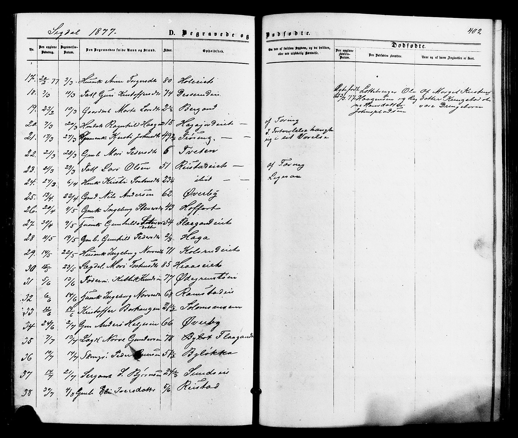 Sigdal kirkebøker, SAKO/A-245/F/Fa/L0010: Parish register (official) no. I 10 /1, 1872-1878, p. 402