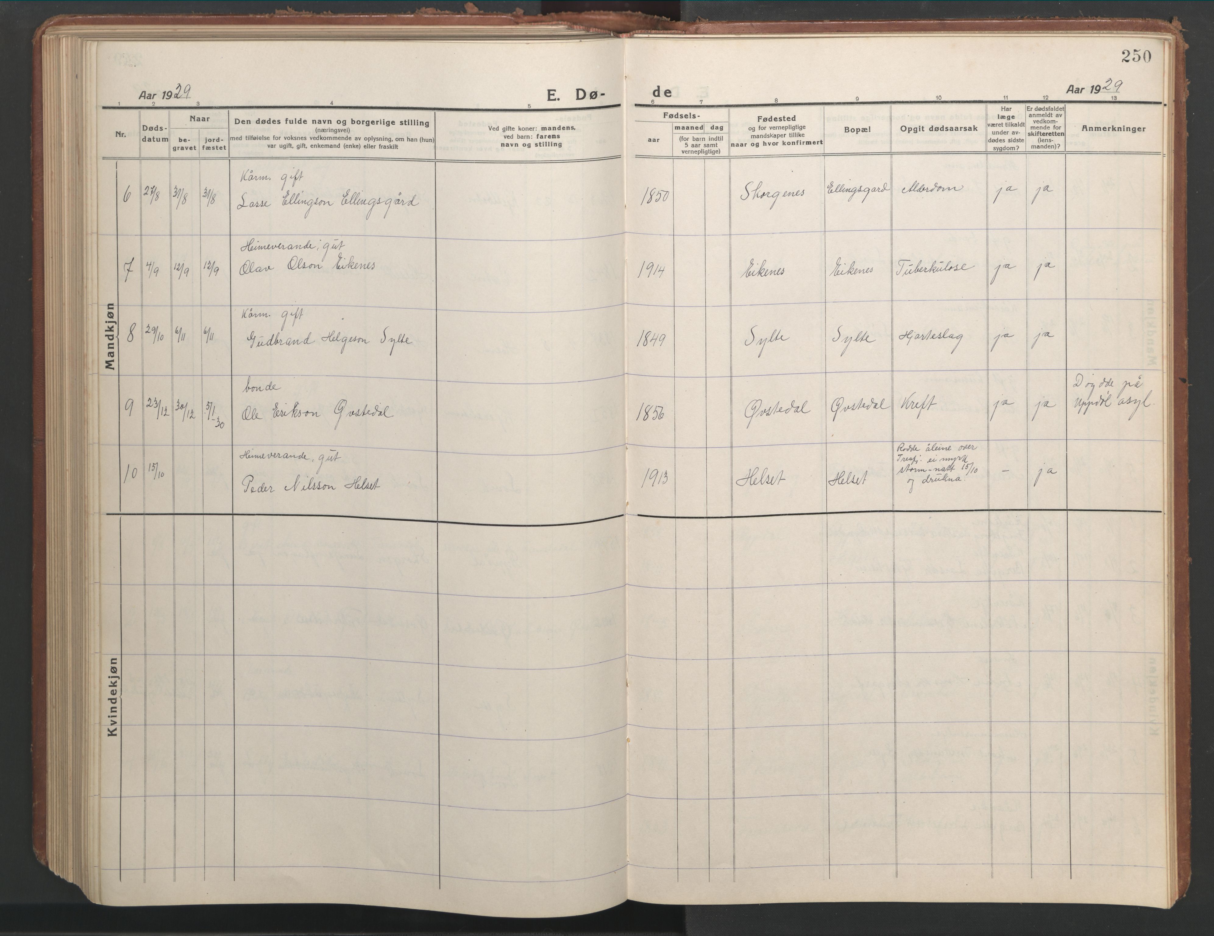 Ministerialprotokoller, klokkerbøker og fødselsregistre - Møre og Romsdal, AV/SAT-A-1454/541/L0548: Parish register (copy) no. 541C03, 1921-1960, p. 250