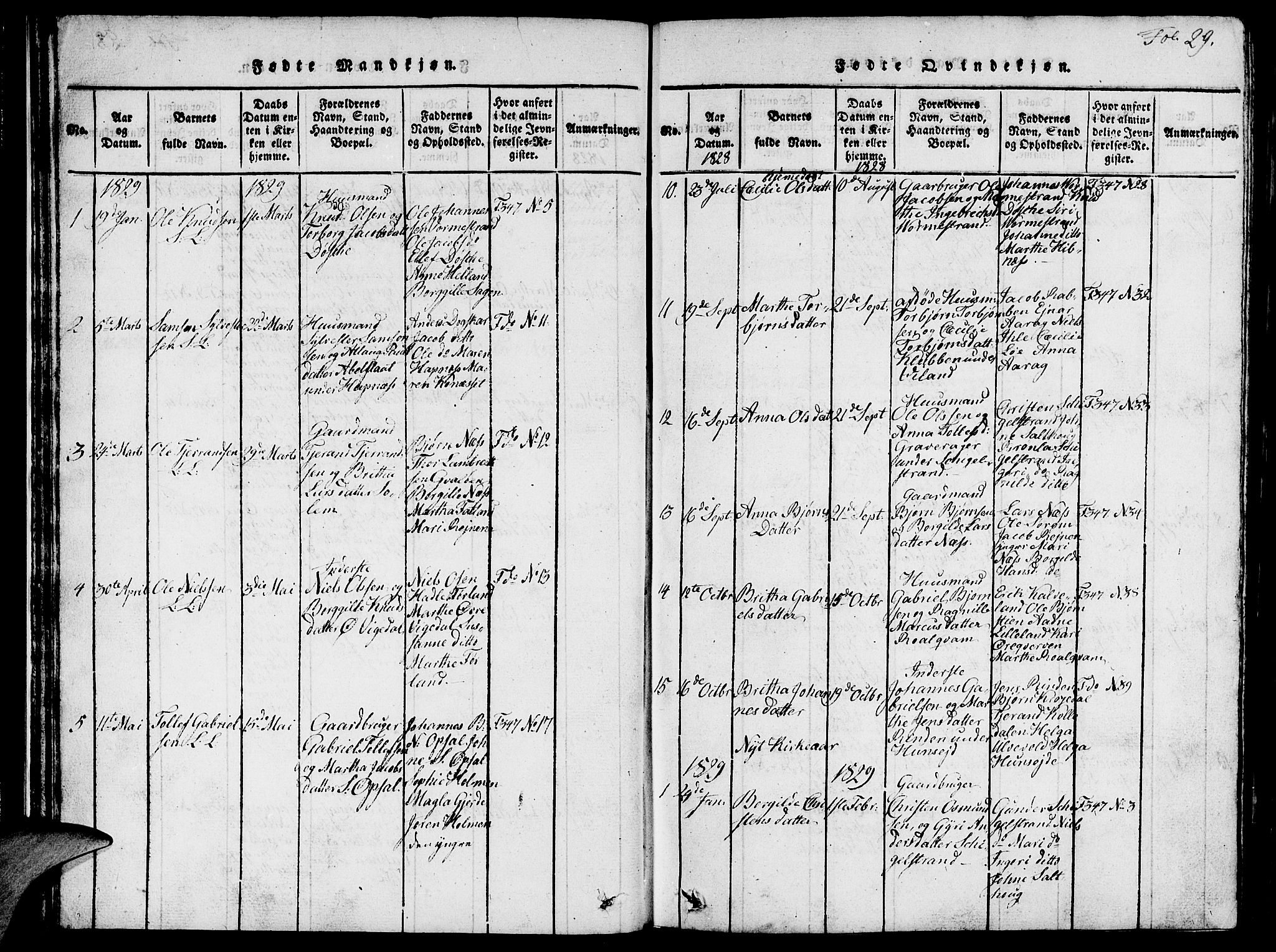 Vikedal sokneprestkontor, AV/SAST-A-101840/01/V: Parish register (copy) no. B 1, 1816-1853, p. 29