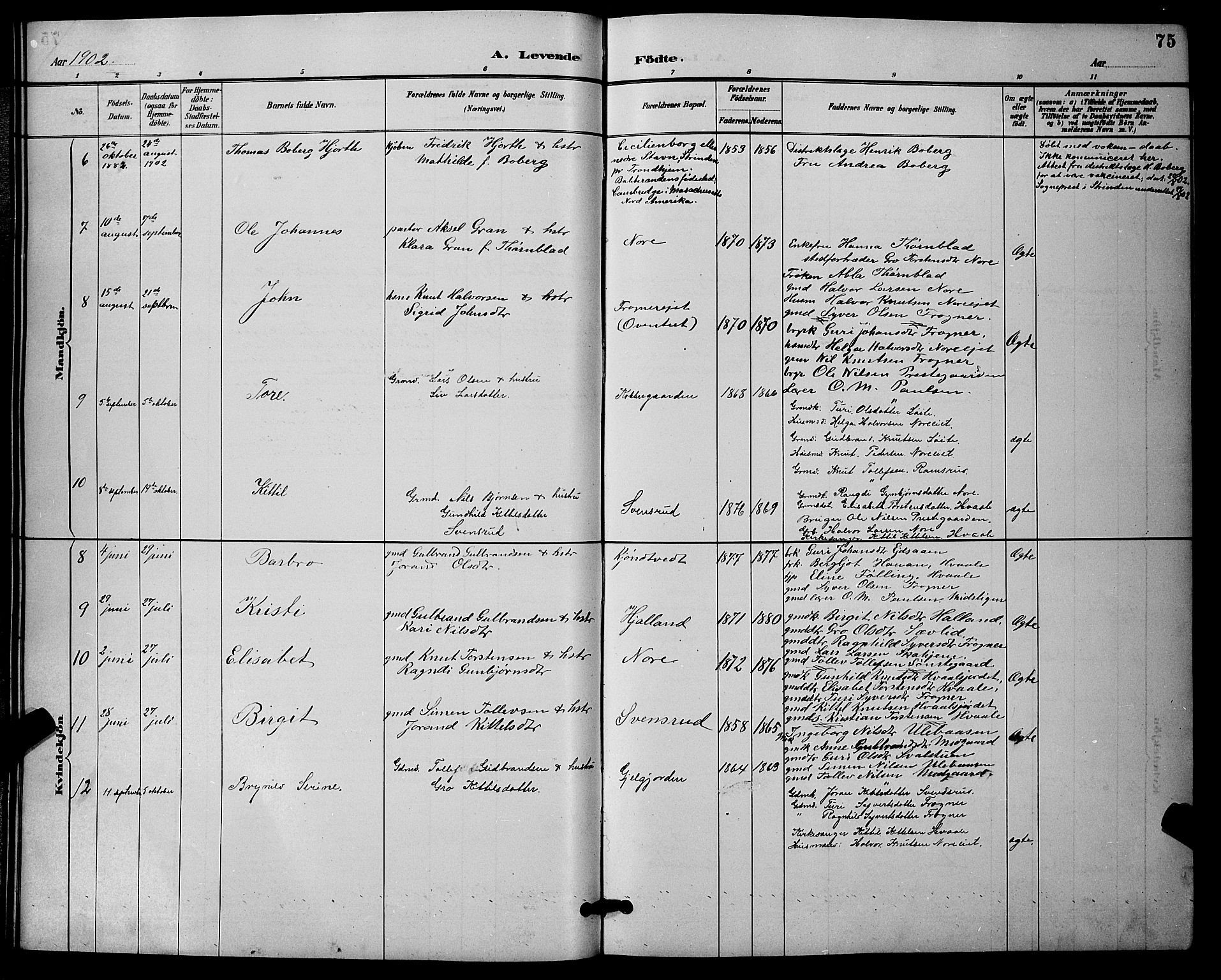 Nore kirkebøker, AV/SAKO-A-238/G/Ga/L0003: Parish register (copy) no. I 3, 1886-1903, p. 75