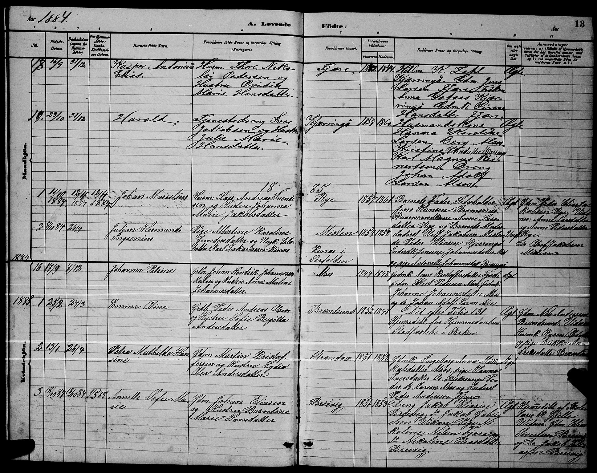 Ministerialprotokoller, klokkerbøker og fødselsregistre - Nordland, SAT/A-1459/803/L0076: Parish register (copy) no. 803C03, 1882-1897, p. 13