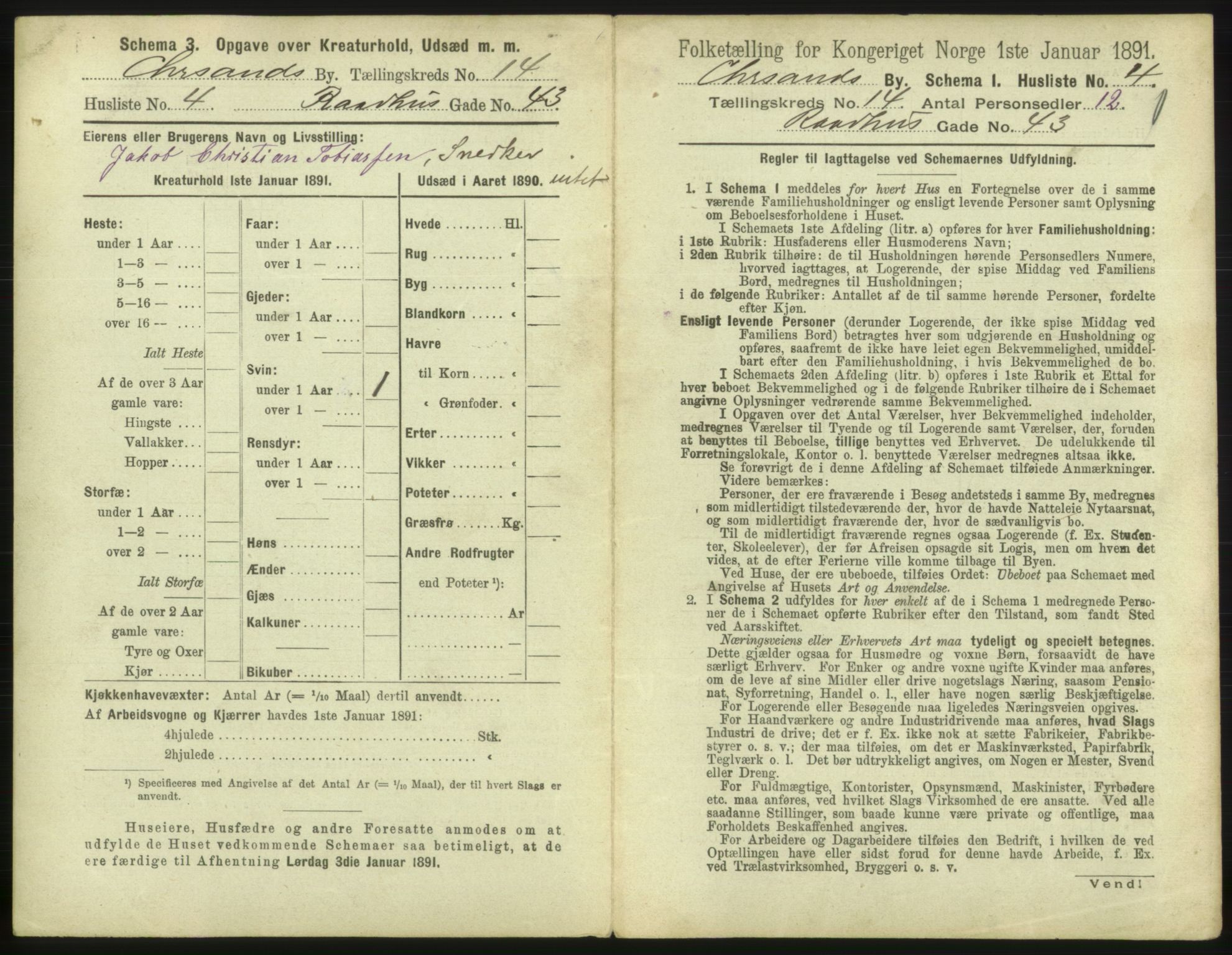 RA, 1891 census for 1001 Kristiansand, 1891, p. 894