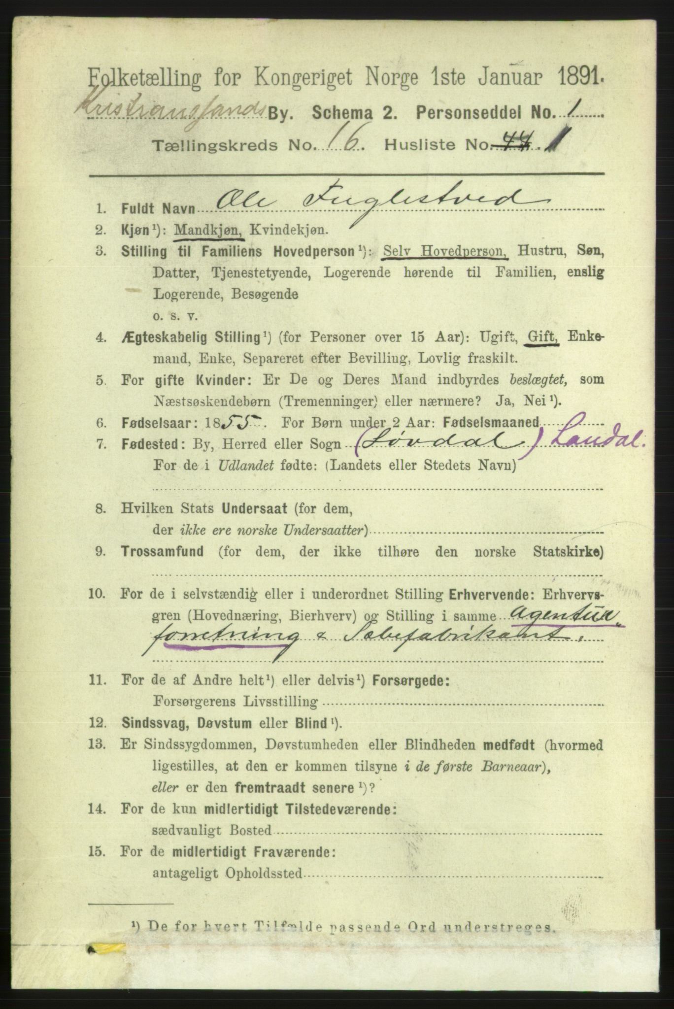 RA, 1891 census for 1001 Kristiansand, 1891, p. 6406