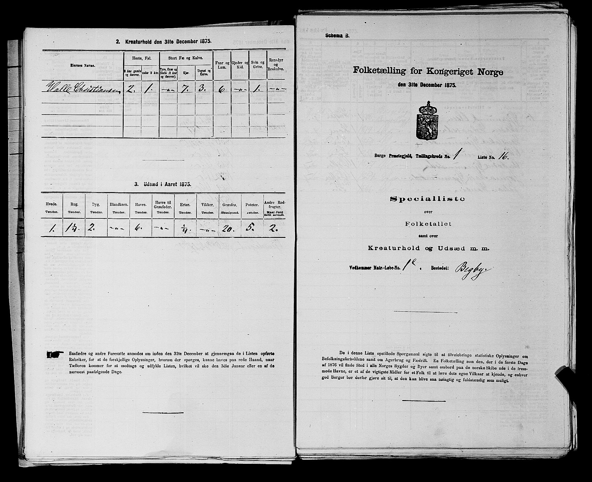 RA, 1875 census for 0113P Borge, 1875, p. 50