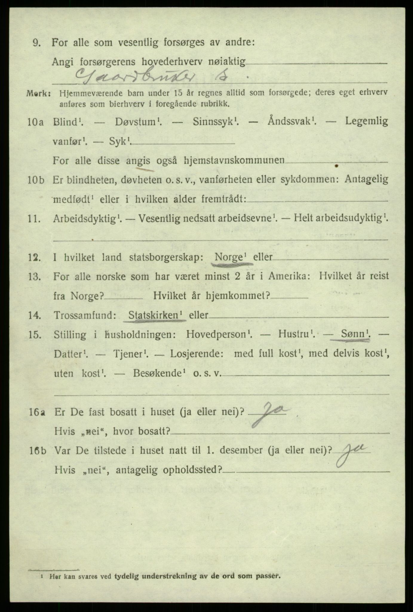 SAB, 1920 census for Hålandsdal, 1920, p. 1249