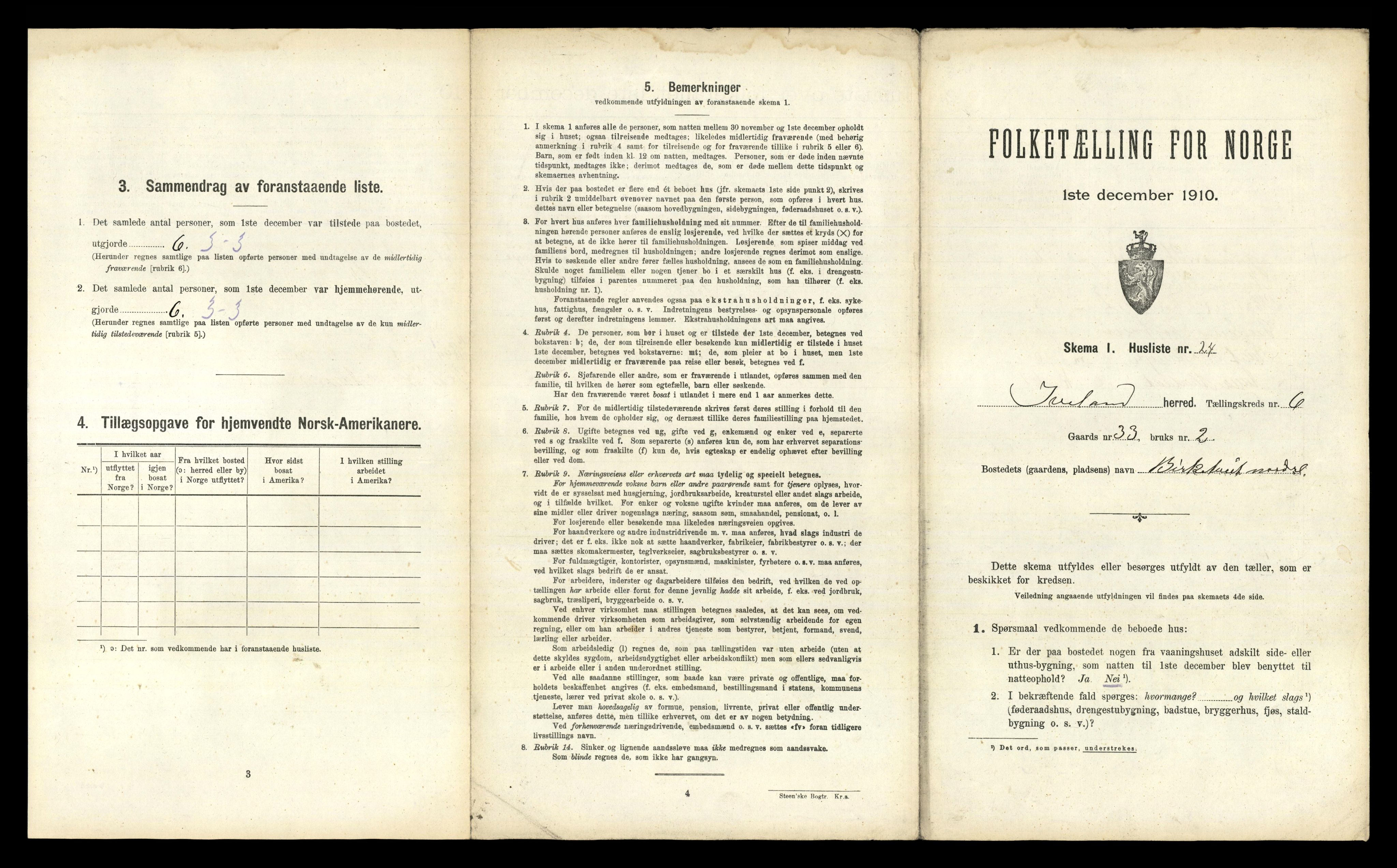 RA, 1910 census for Iveland, 1910, p. 303