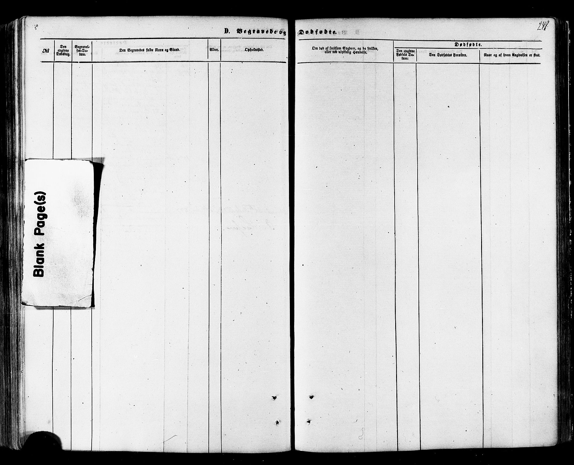 Nesseby sokneprestkontor, AV/SATØ-S-1330/H/Ha/L0003kirke: Parish register (official) no. 3 /1, 1865-1876, p. 249