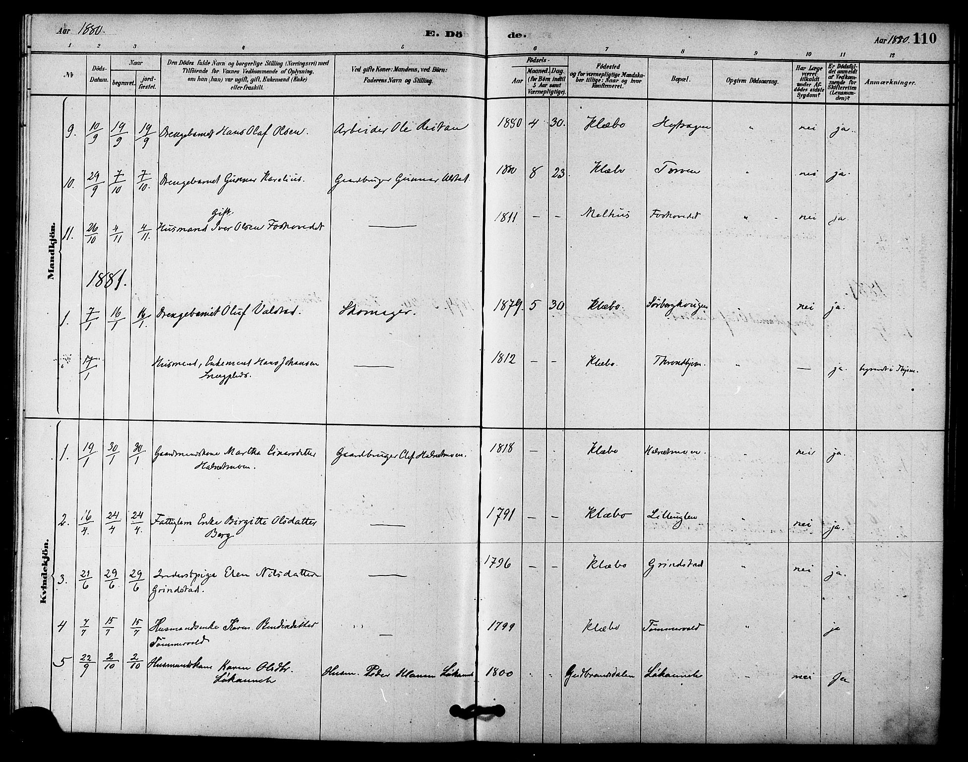 Ministerialprotokoller, klokkerbøker og fødselsregistre - Sør-Trøndelag, SAT/A-1456/618/L0444: Parish register (official) no. 618A07, 1880-1898, p. 110