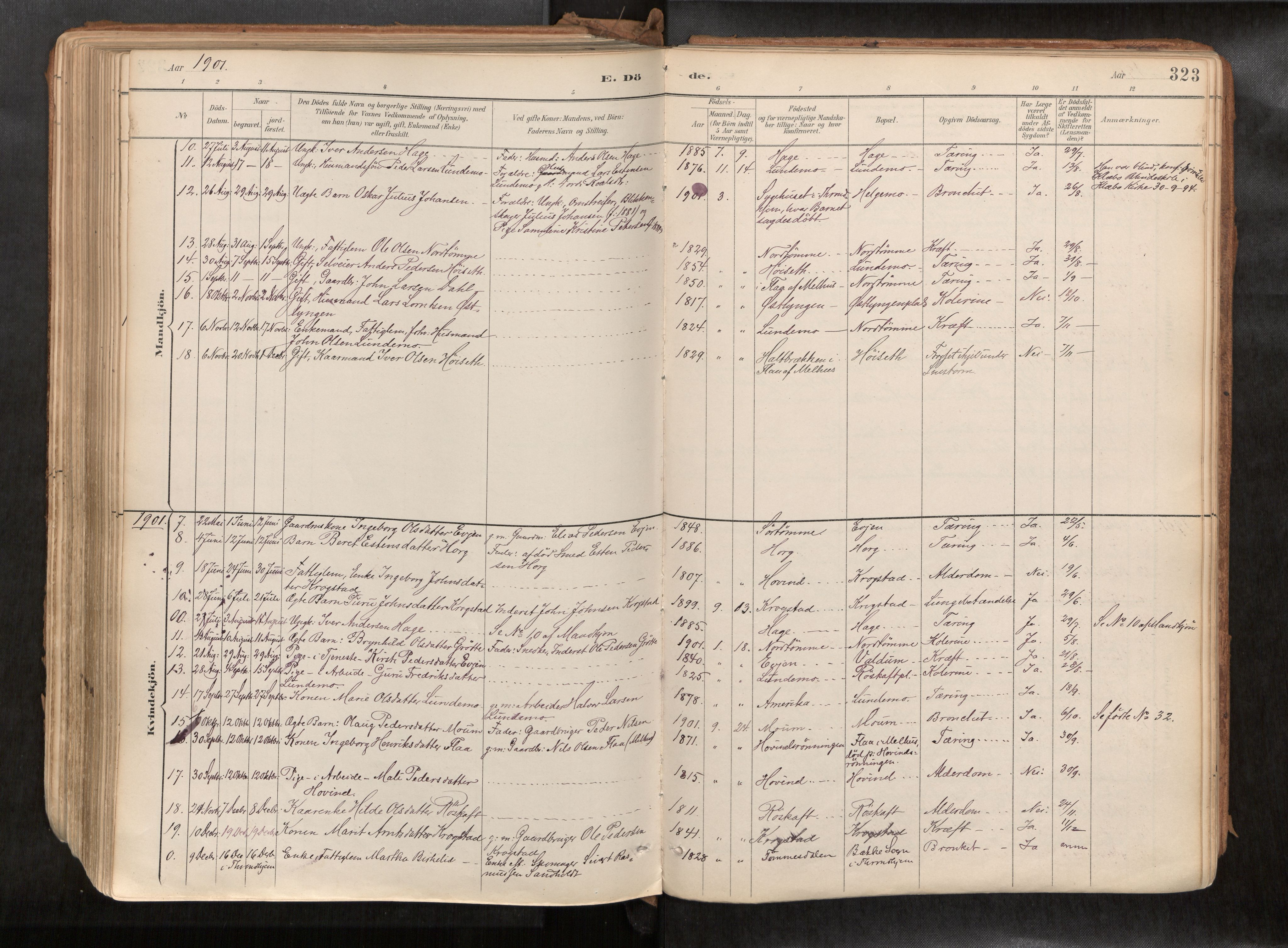 Ministerialprotokoller, klokkerbøker og fødselsregistre - Sør-Trøndelag, SAT/A-1456/692/L1105b: Parish register (official) no. 692A06, 1891-1934, p. 323