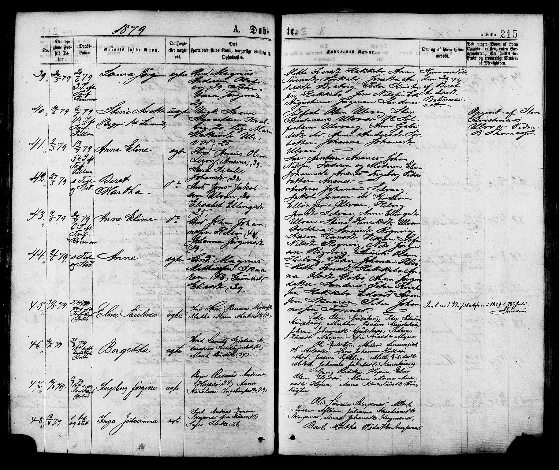 Ministerialprotokoller, klokkerbøker og fødselsregistre - Sør-Trøndelag, AV/SAT-A-1456/634/L0532: Parish register (official) no. 634A08, 1871-1881, p. 215