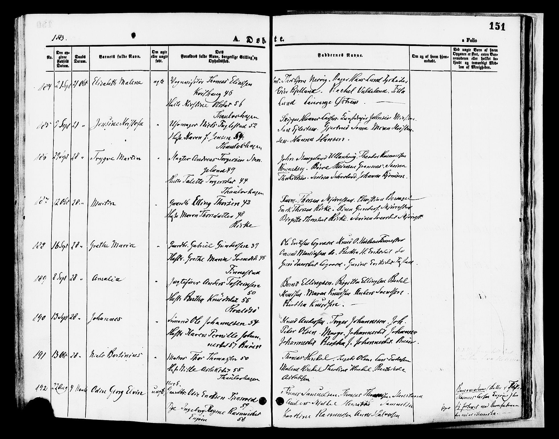 Hetland sokneprestkontor, AV/SAST-A-101826/30/30BA/L0008: Parish register (official) no. A 8, 1877-1884, p. 151