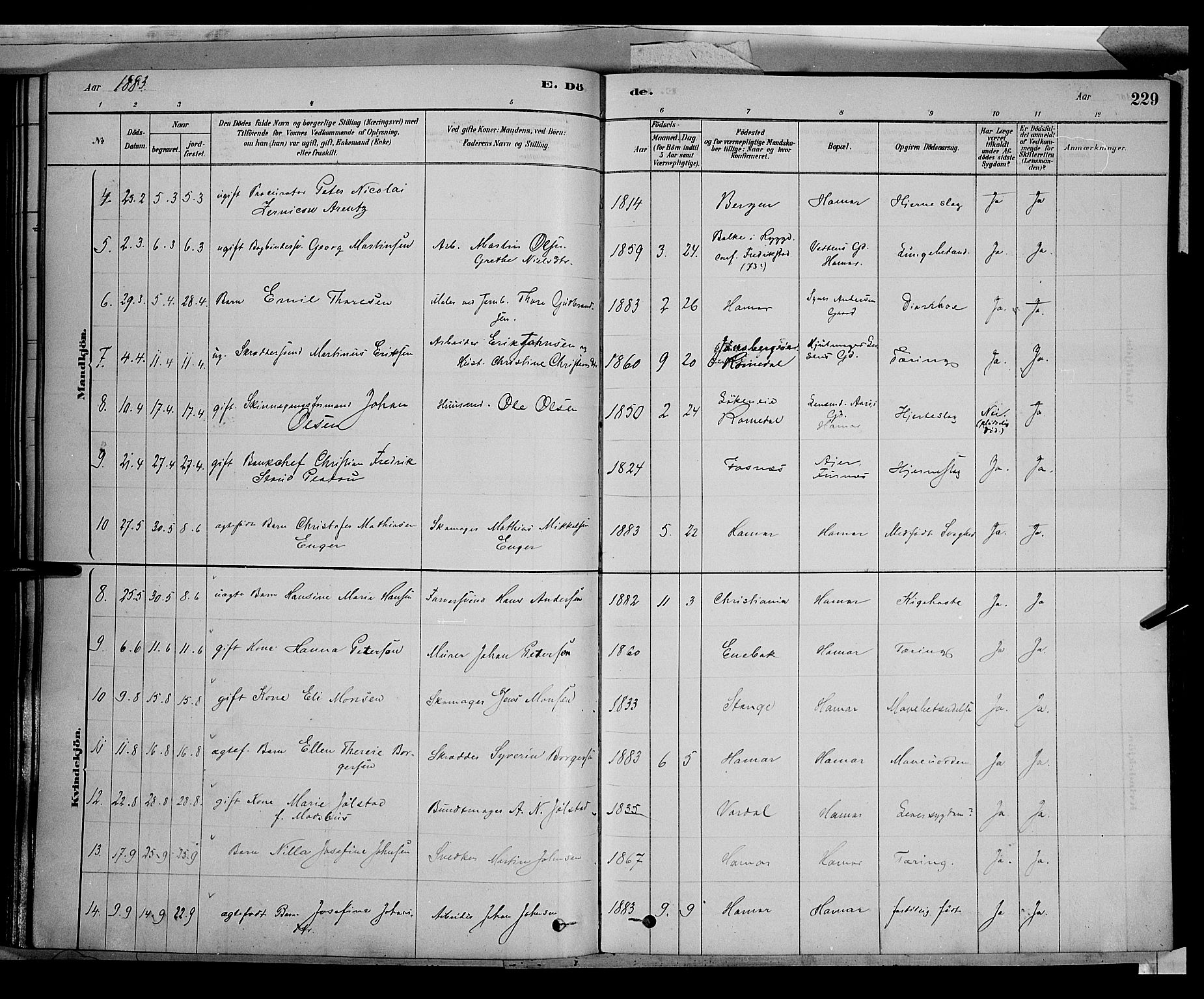 Vang prestekontor, Hedmark, AV/SAH-PREST-008/H/Ha/Haa/L0016: Parish register (official) no. 16, 1878-1889, p. 229