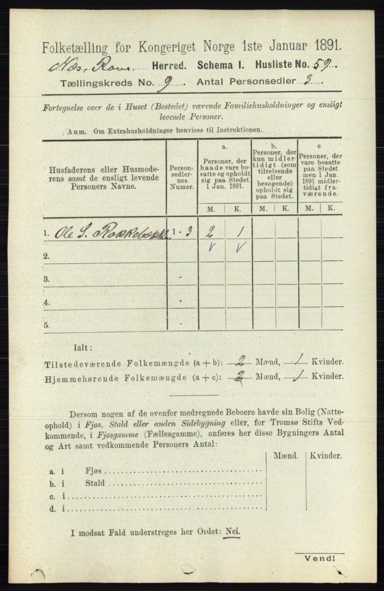 RA, 1891 census for 0236 Nes, 1891, p. 5245
