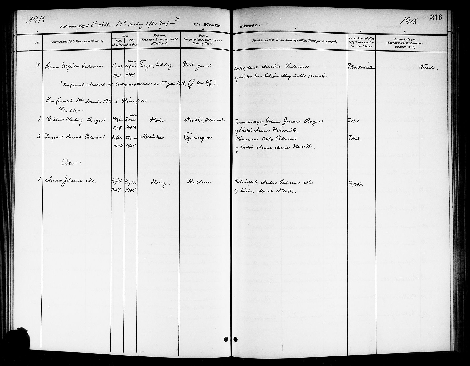 Norderhov kirkebøker, AV/SAKO-A-237/G/Gb/L0002: Parish register (copy) no. II 2, 1891-1921, p. 316