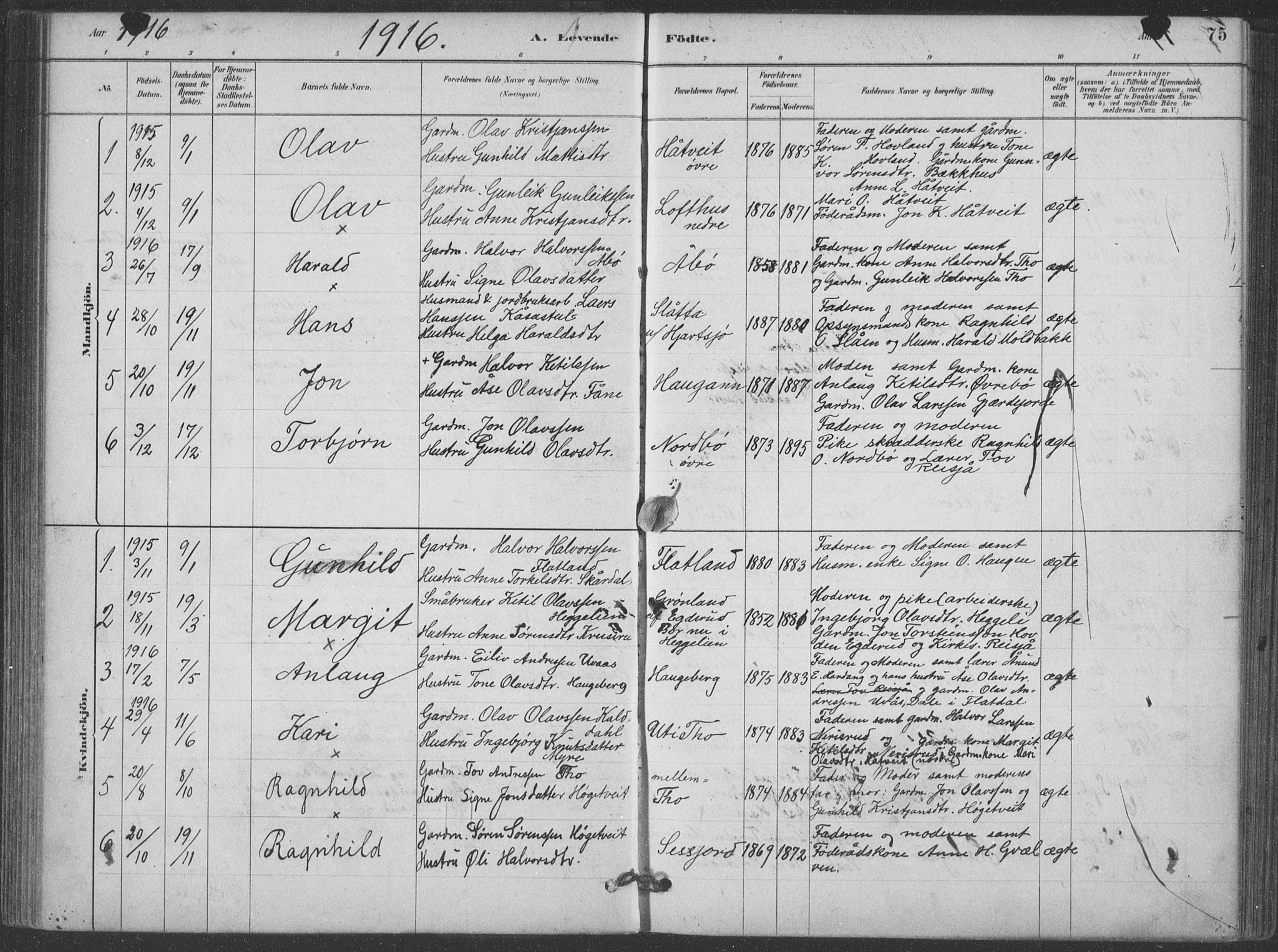 Hjartdal kirkebøker, SAKO/A-270/F/Fa/L0010: Parish register (official) no. I 10, 1880-1929, p. 75