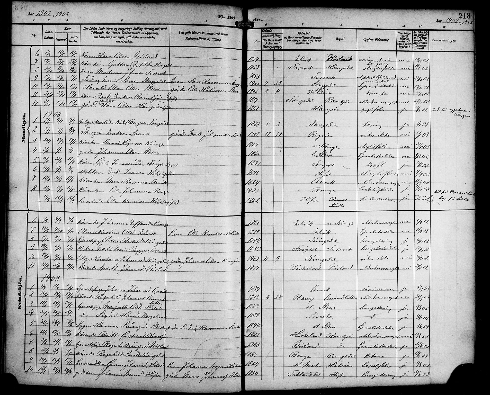 Masfjorden Sokneprestembete, SAB/A-77001: Parish register (copy) no. B 1, 1892-1913, p. 213