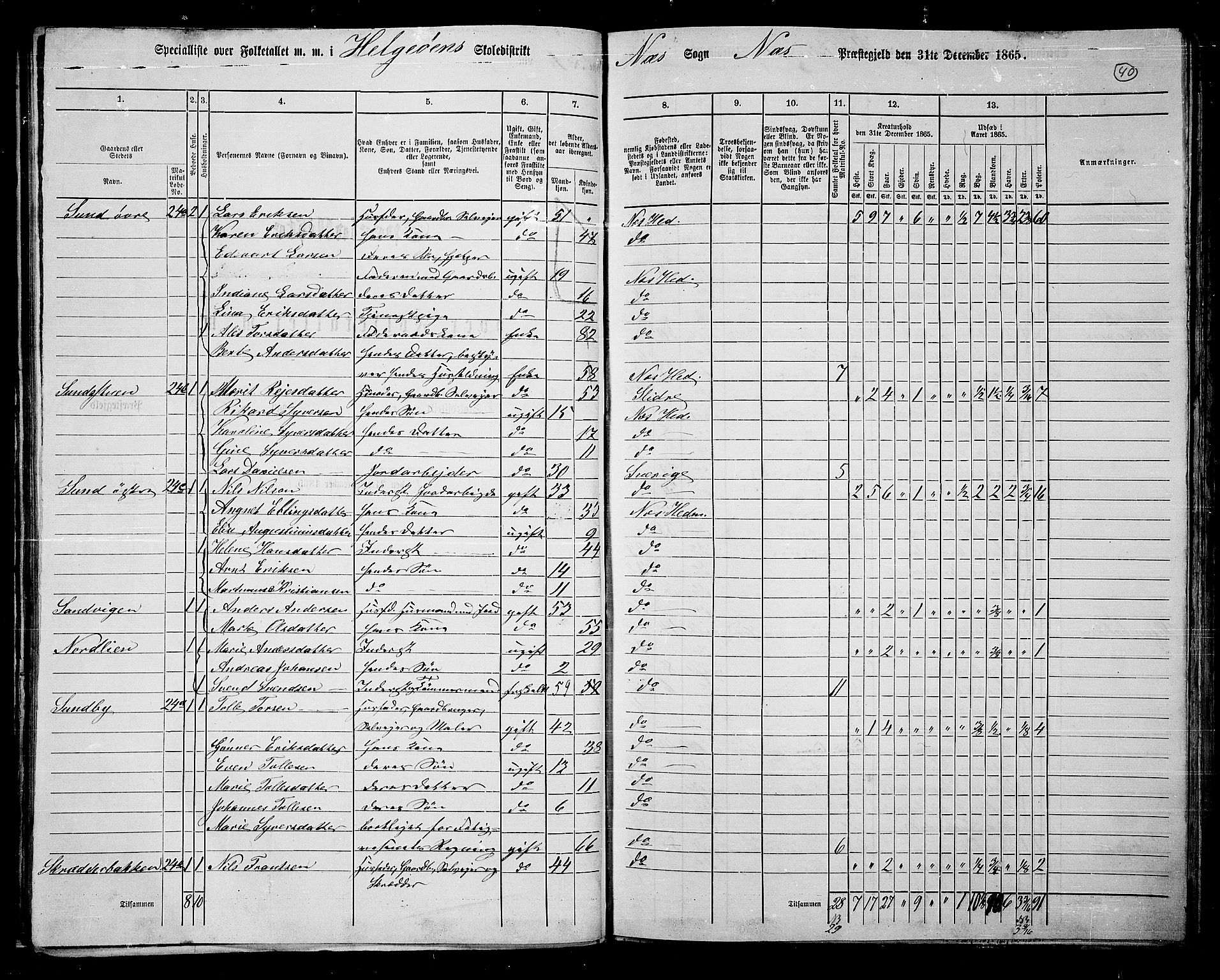 RA, 1865 census for Nes, 1865, p. 33