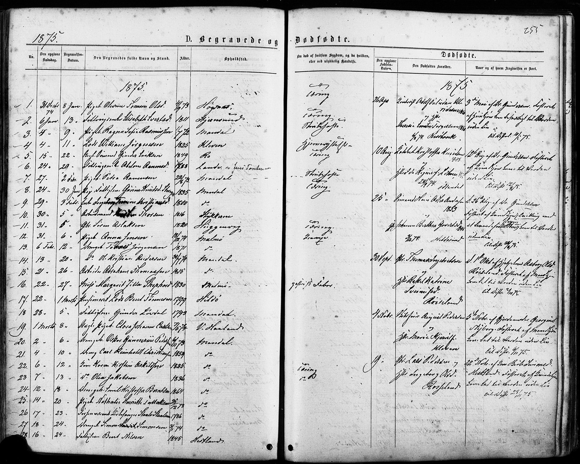 Mandal sokneprestkontor, SAK/1111-0030/F/Fa/Faa/L0015: Parish register (official) no. A 15, 1873-1879, p. 255