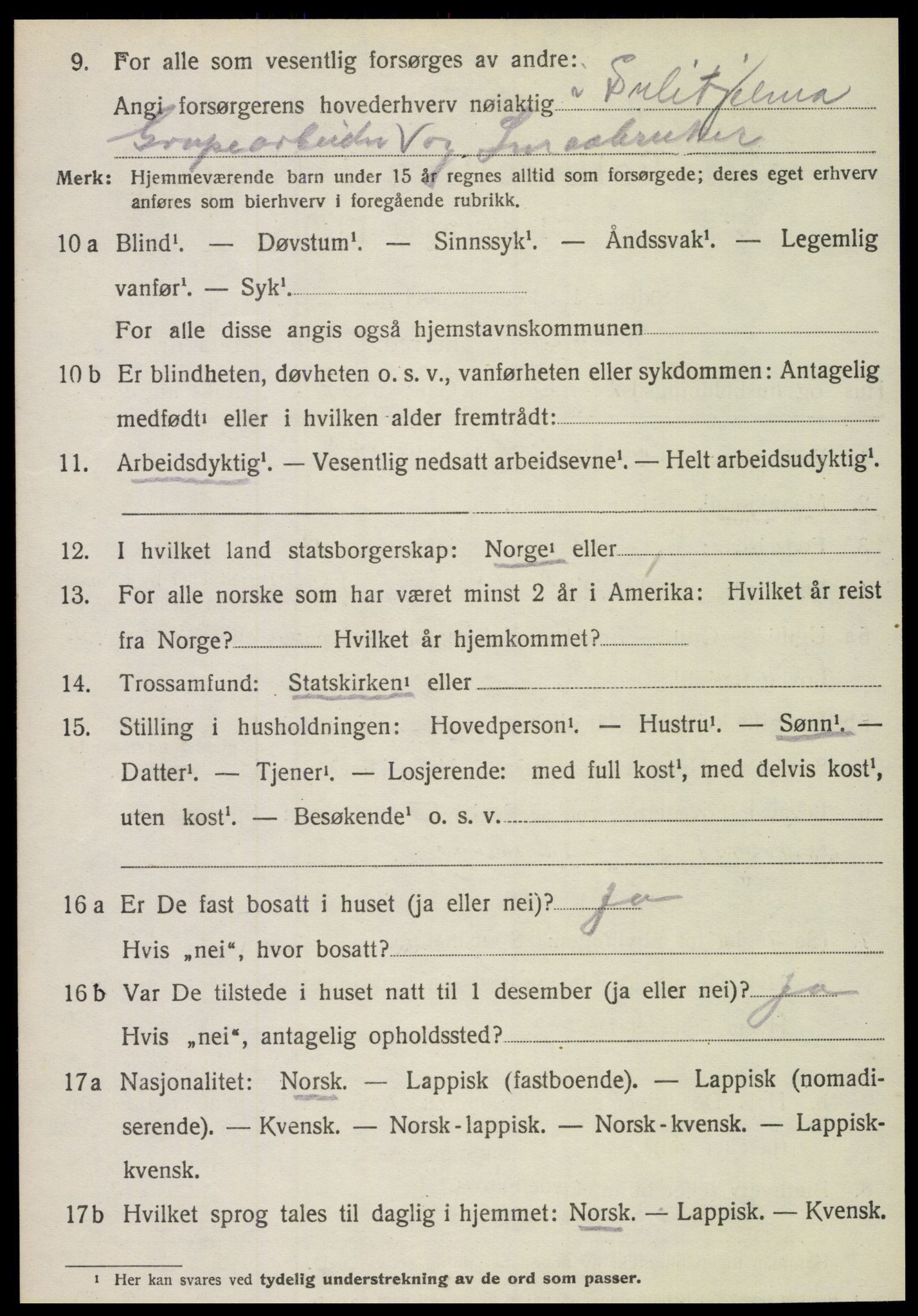 SAT, 1920 census for Fauske, 1920, p. 16997