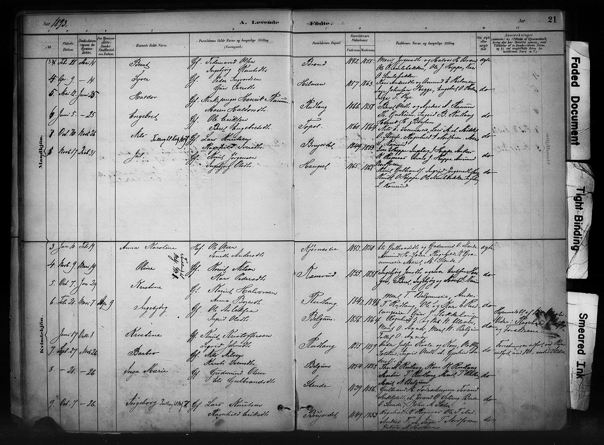 Nord-Aurdal prestekontor, SAH/PREST-132/H/Ha/Haa/L0011: Parish register (official) no. 11, 1883-1896, p. 21