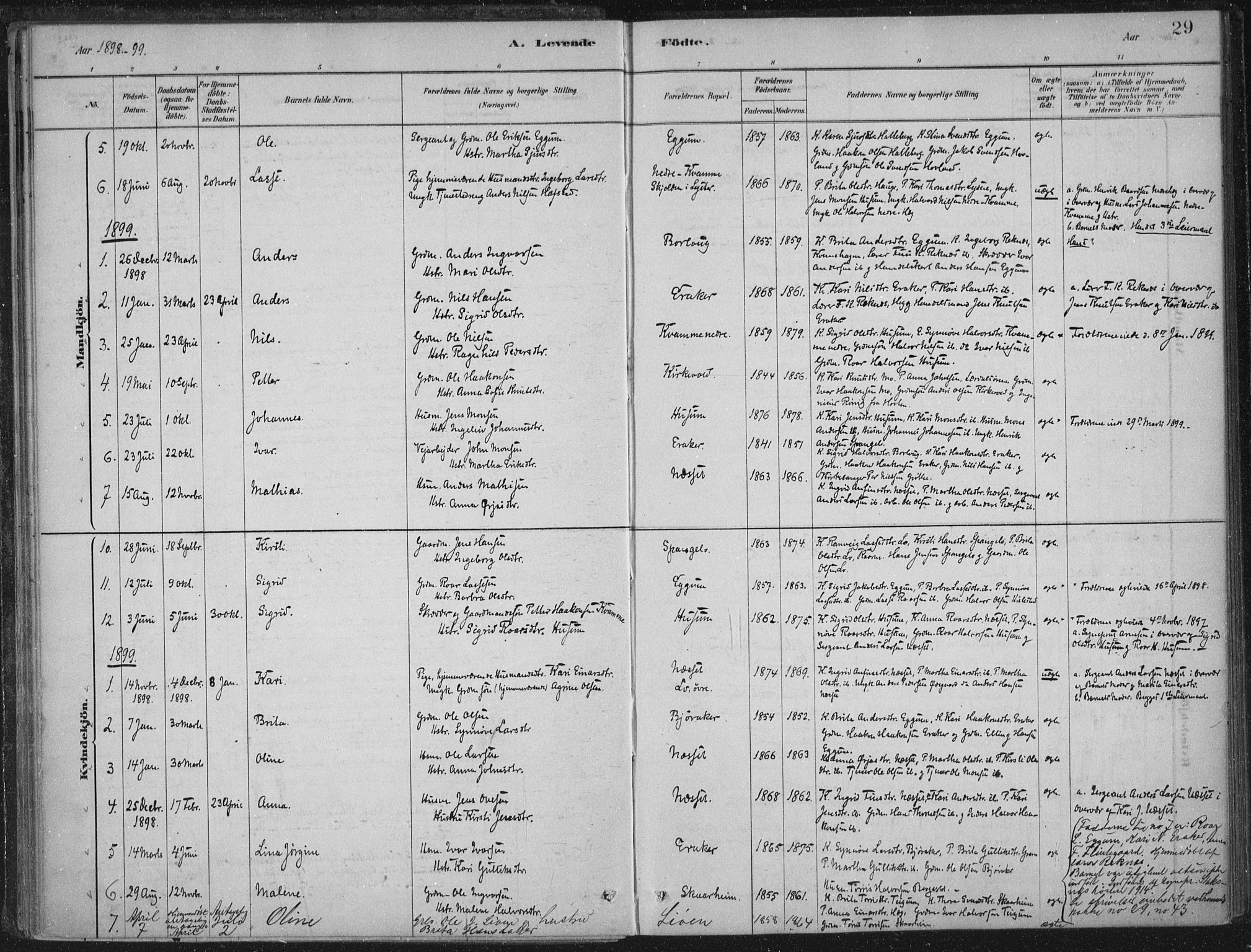 Lærdal sokneprestembete, SAB/A-81201: Parish register (official) no. C  1, 1878-1911, p. 29