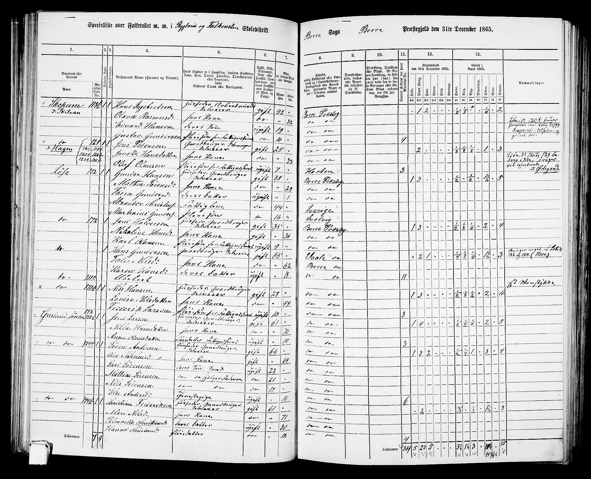 RA, 1865 census for Borre, 1865, p. 116