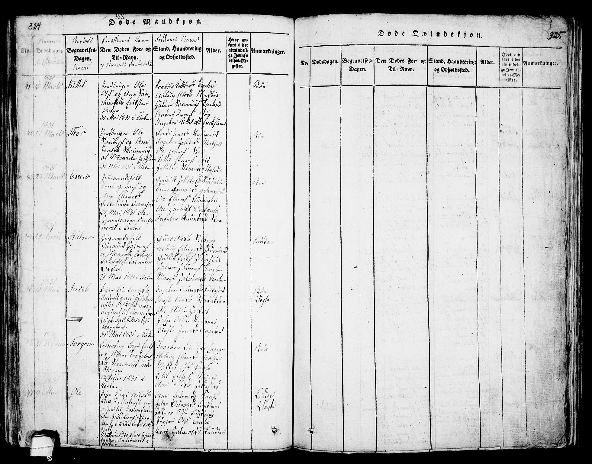 Bø kirkebøker, AV/SAKO-A-257/G/Ga/L0001: Parish register (copy) no. 1, 1815-1831, p. 324-325