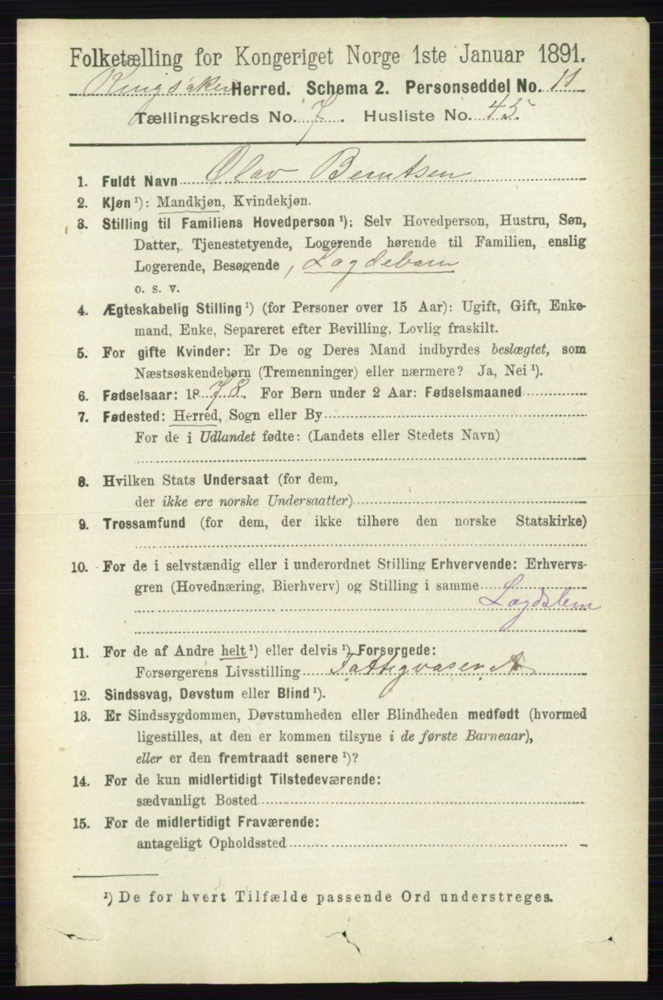 RA, 1891 census for 0412 Ringsaker, 1891, p. 4202