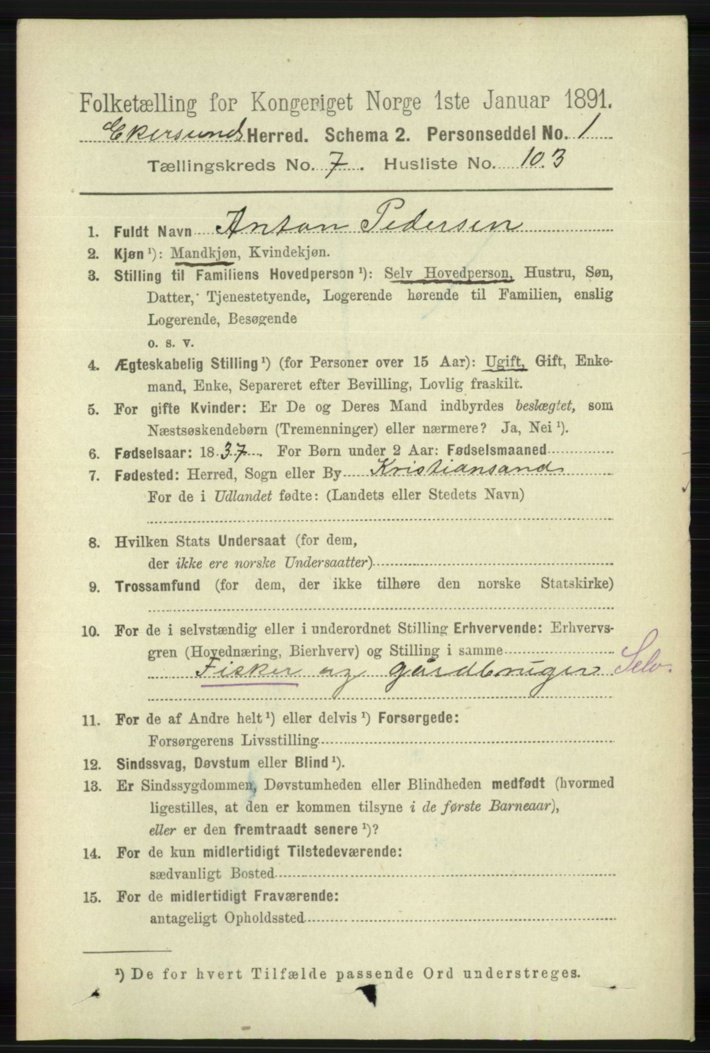 RA, 1891 census for 1116 Eigersund herred, 1891, p. 3419