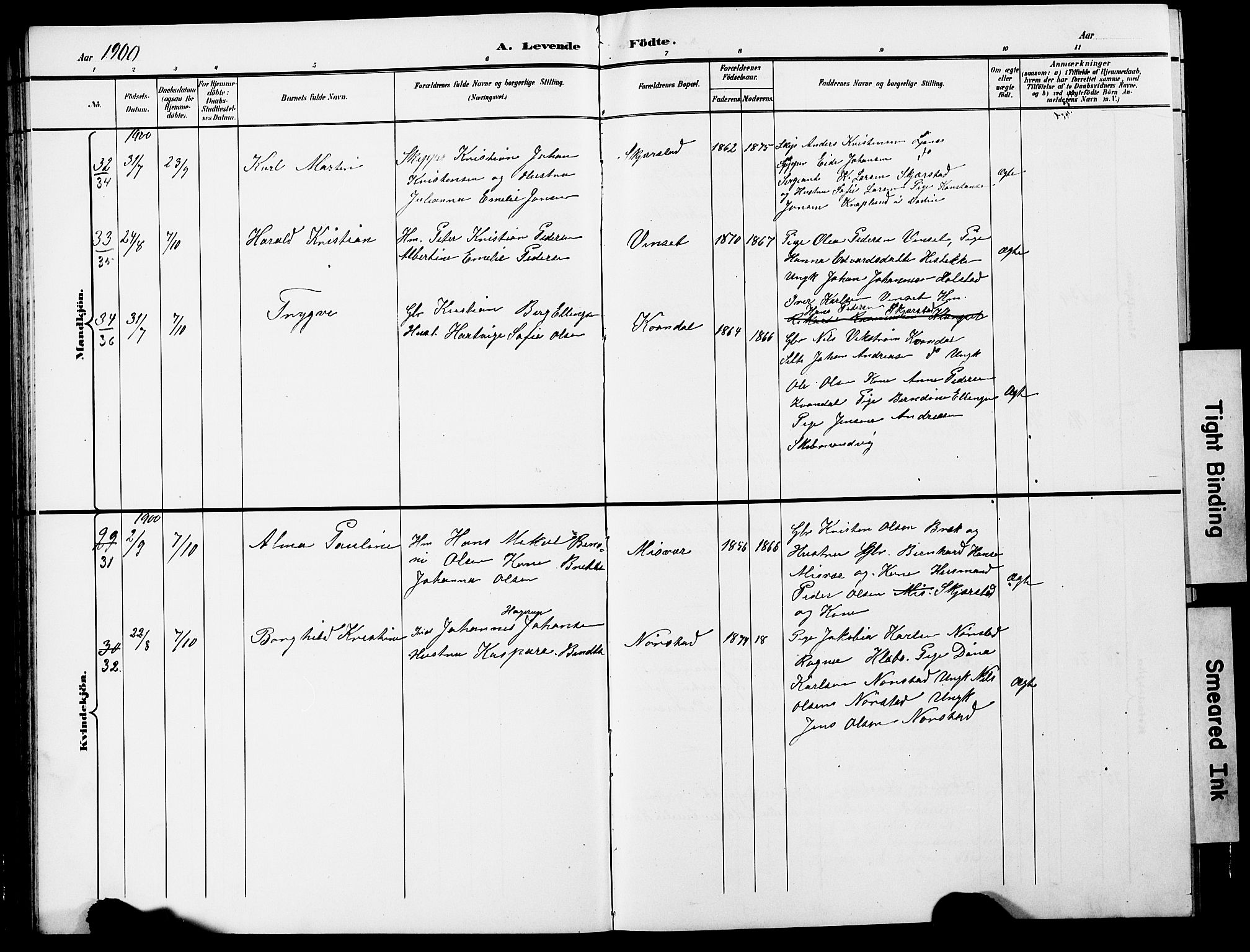 Ministerialprotokoller, klokkerbøker og fødselsregistre - Nordland, SAT/A-1459/852/L0755: Parish register (copy) no. 852C06, 1895-1902