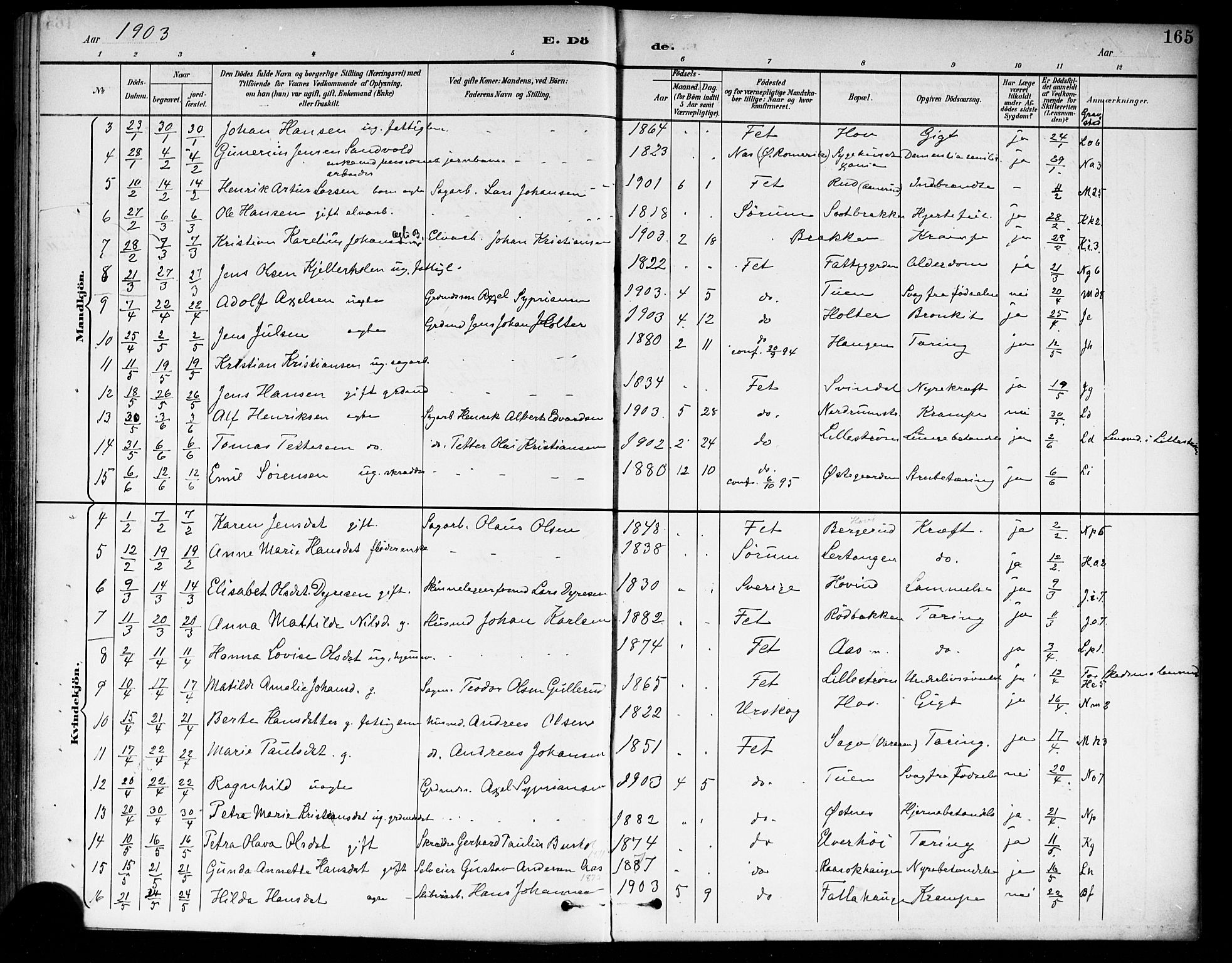 Fet prestekontor Kirkebøker, SAO/A-10370a/F/Fa/L0015: Parish register (official) no. I 15, 1892-1904, p. 165