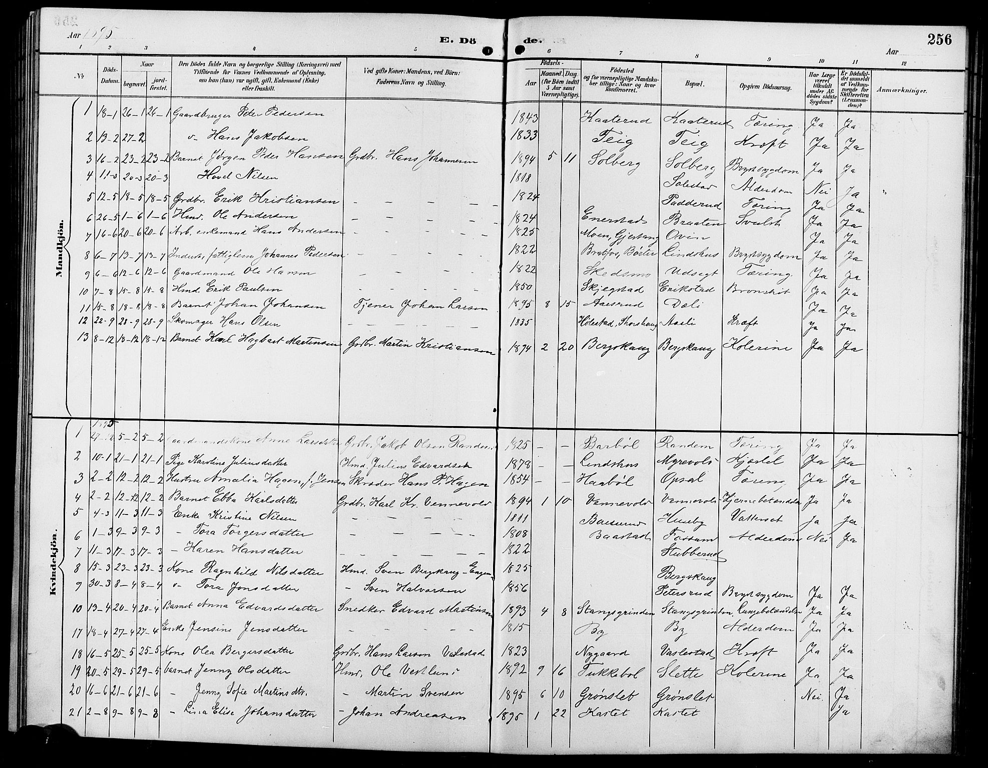 Enebakk prestekontor Kirkebøker, SAO/A-10171c/G/Ga/L0006: Parish register (copy) no. I 6, 1889-1911, p. 256