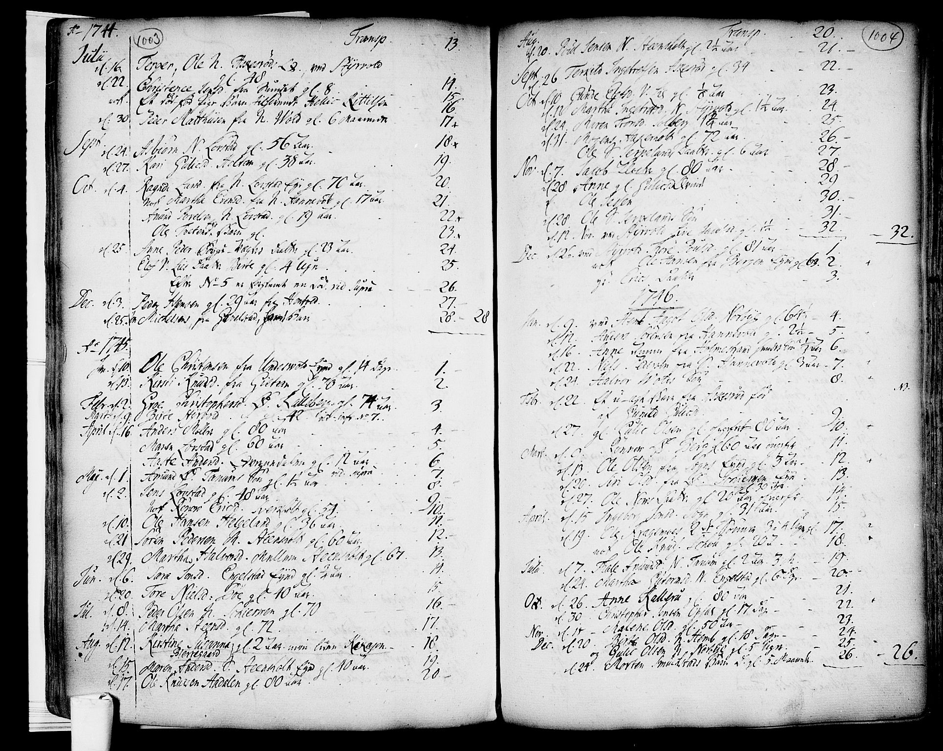 Lardal kirkebøker, SAKO/A-350/F/Fa/L0003: Parish register (official) no. I 3, 1733-1815, p. 1003-1004