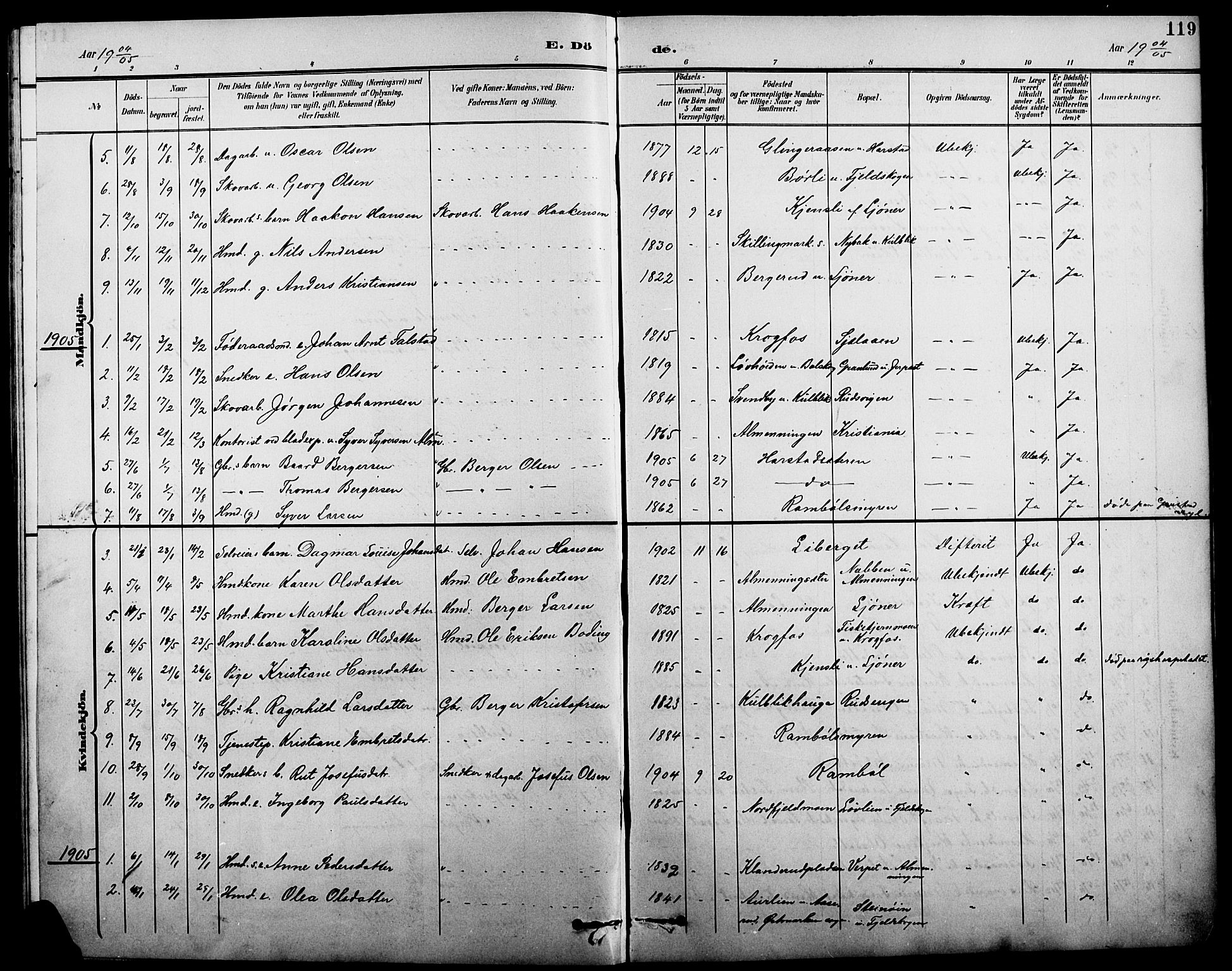 Eidskog prestekontor, SAH/PREST-026/H/Ha/Hab/L0002: Parish register (copy) no. 2, 1895-1923, p. 119