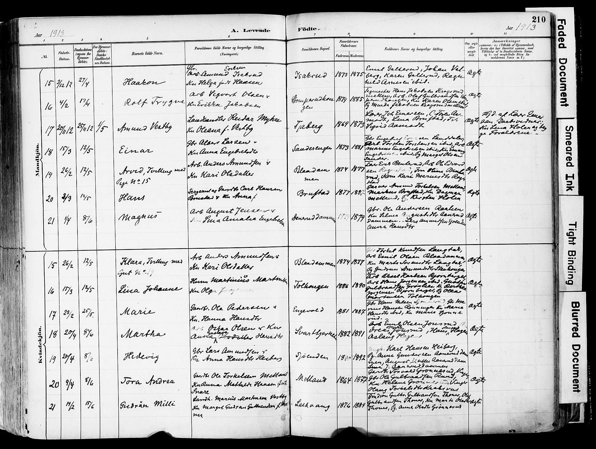 Sør-Odal prestekontor, SAH/PREST-030/H/Ha/Haa/L0006: Parish register (official) no. 6, 1886-1931, p. 210