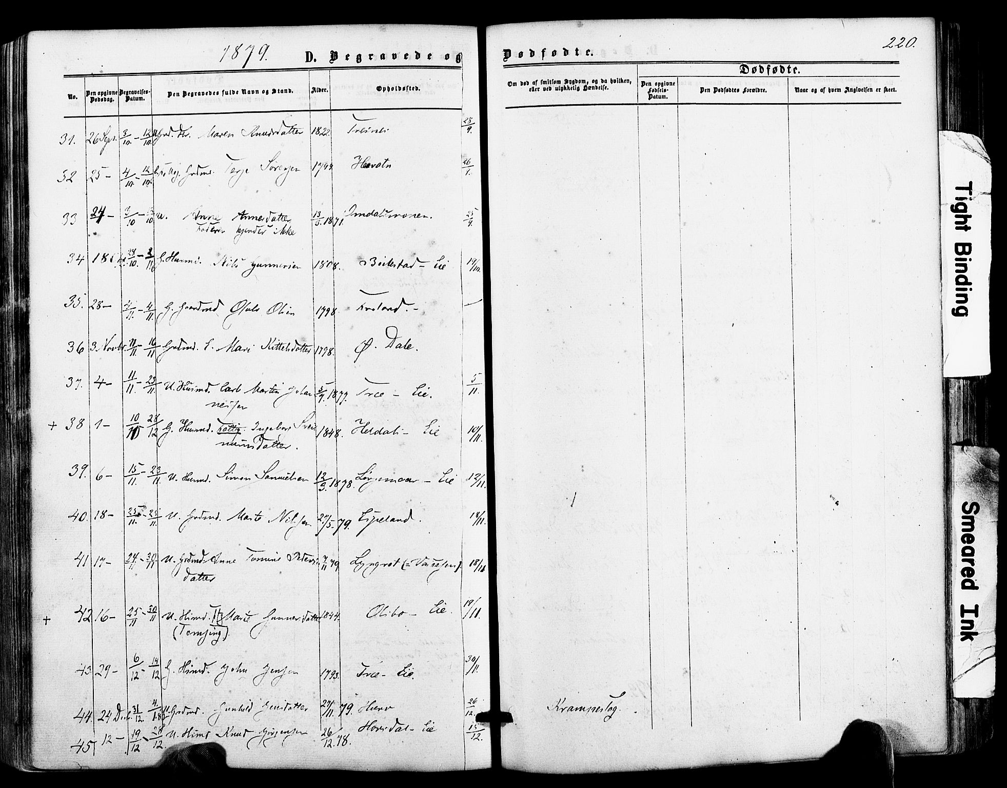 Froland sokneprestkontor, AV/SAK-1111-0013/F/Fa/L0003: Parish register (official) no. A 3, 1864-1881, p. 220