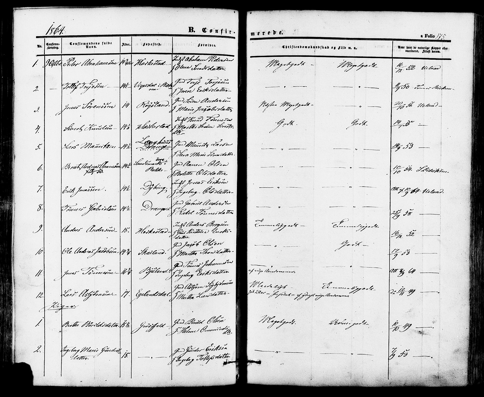 Lund sokneprestkontor, AV/SAST-A-101809/S06/L0010: Parish register (official) no. A 9, 1854-1886, p. 175