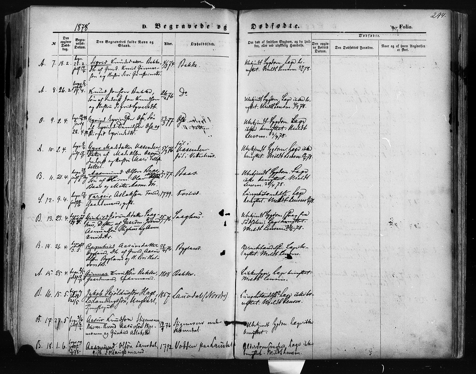 Bygland sokneprestkontor, AV/SAK-1111-0006/F/Fa/Fab/L0006: Parish register (official) no. A 6, 1873-1884, p. 294