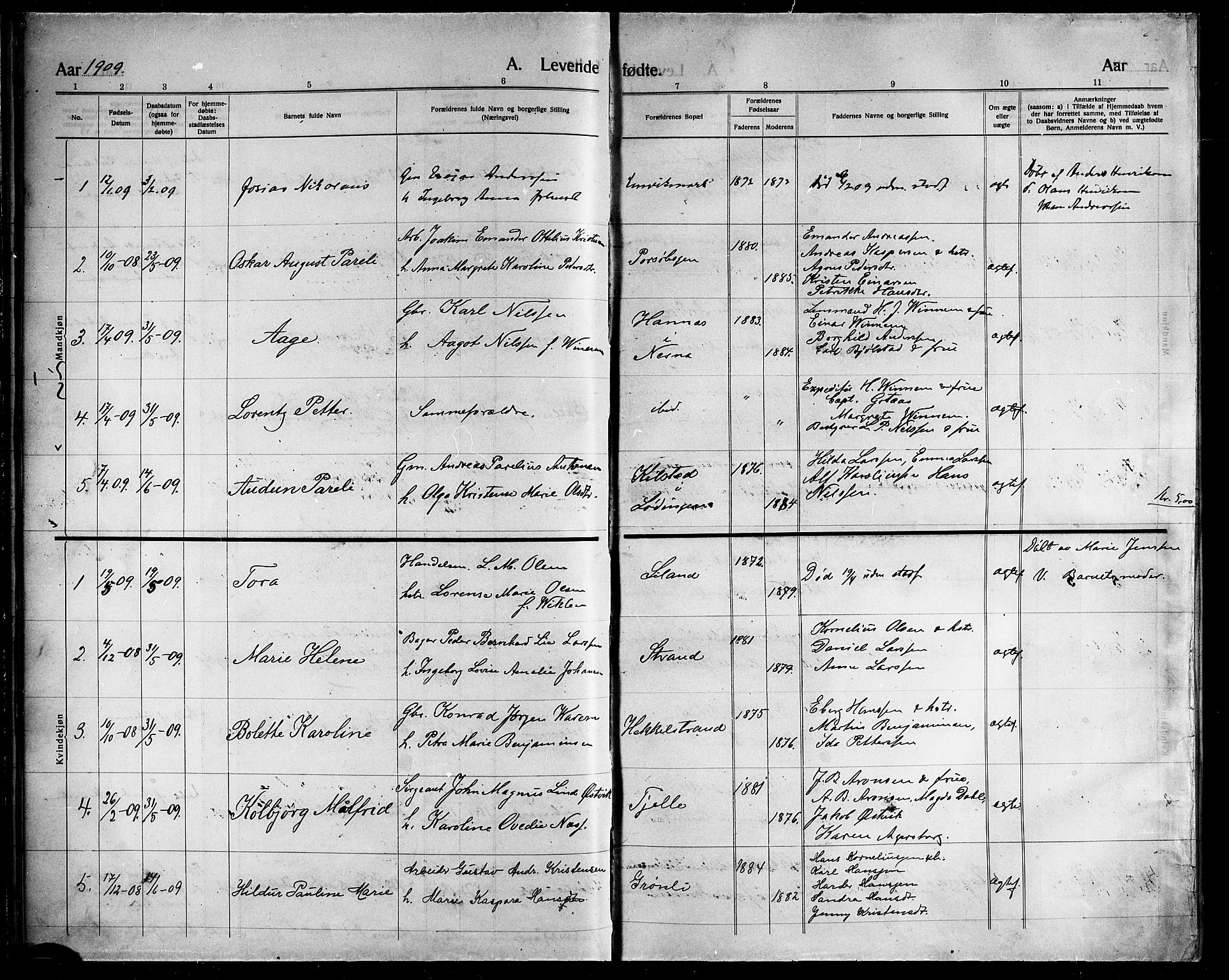 Ministerialprotokoller, klokkerbøker og fødselsregistre - Nordland, AV/SAT-A-1459/863/L0916: Parish register (copy) no. 863C06, 1907-1921