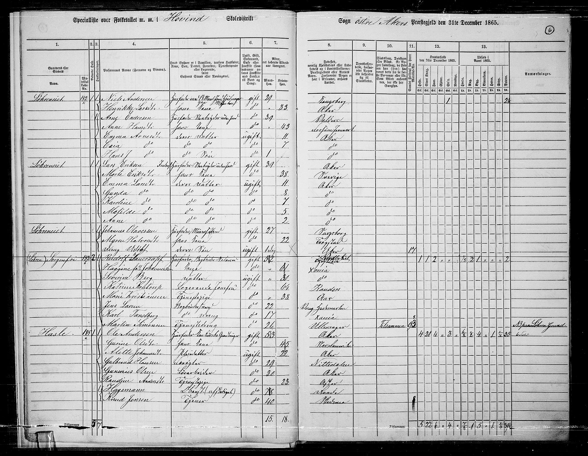 RA, 1865 census for Østre Aker, 1865, p. 230